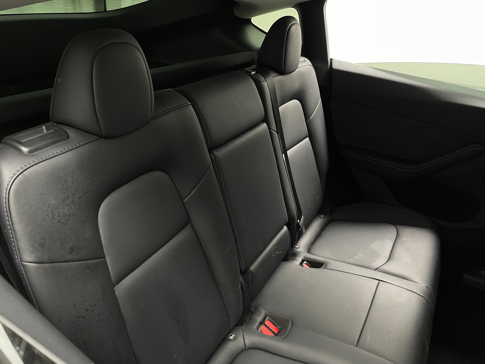 Thumbnail: 2024 Tesla Model Y - 5