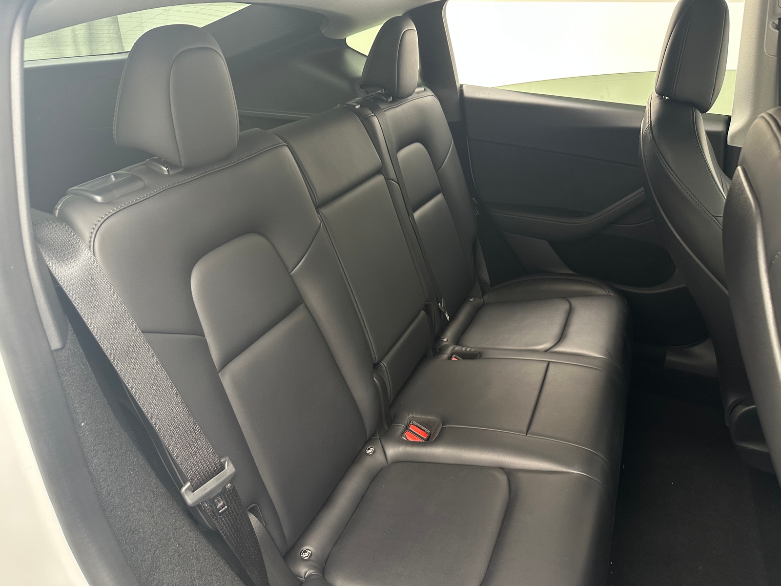 Thumbnail: 2023 Tesla Model Y - 5