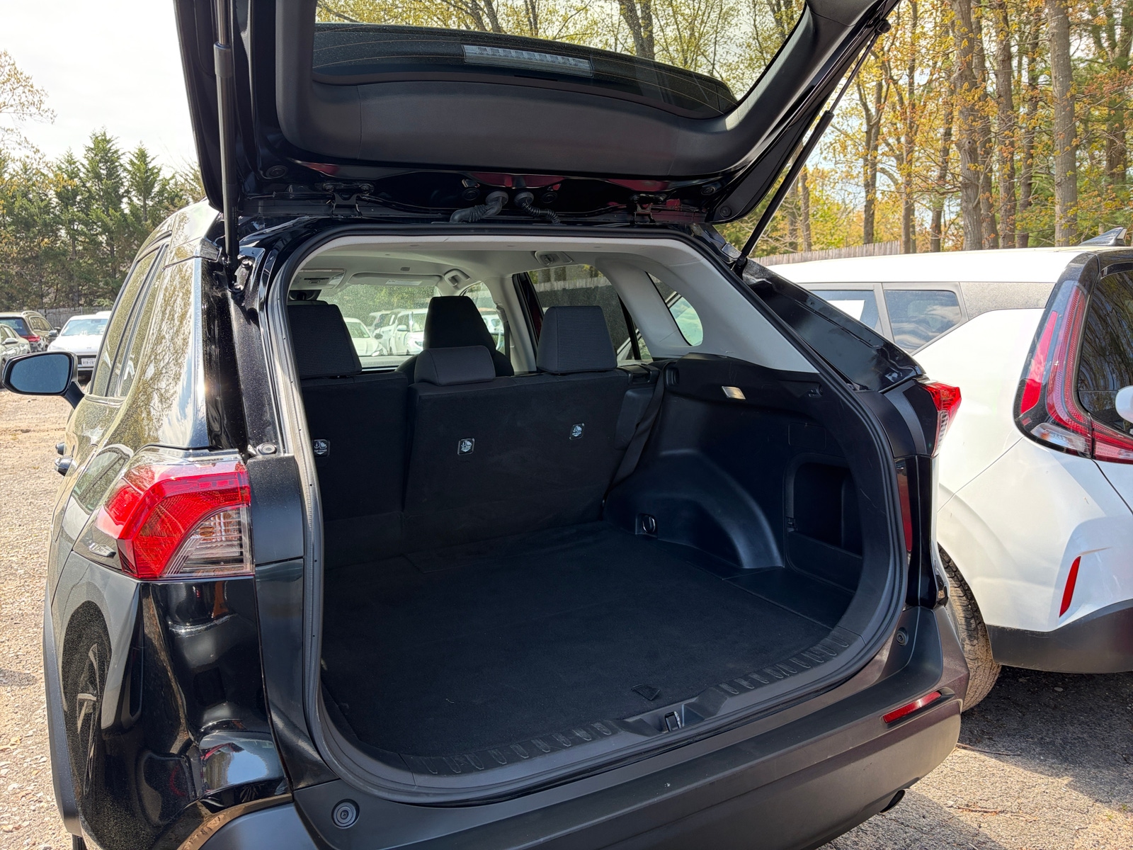 Thumbnail: 2025 Toyota RAV4 - 5