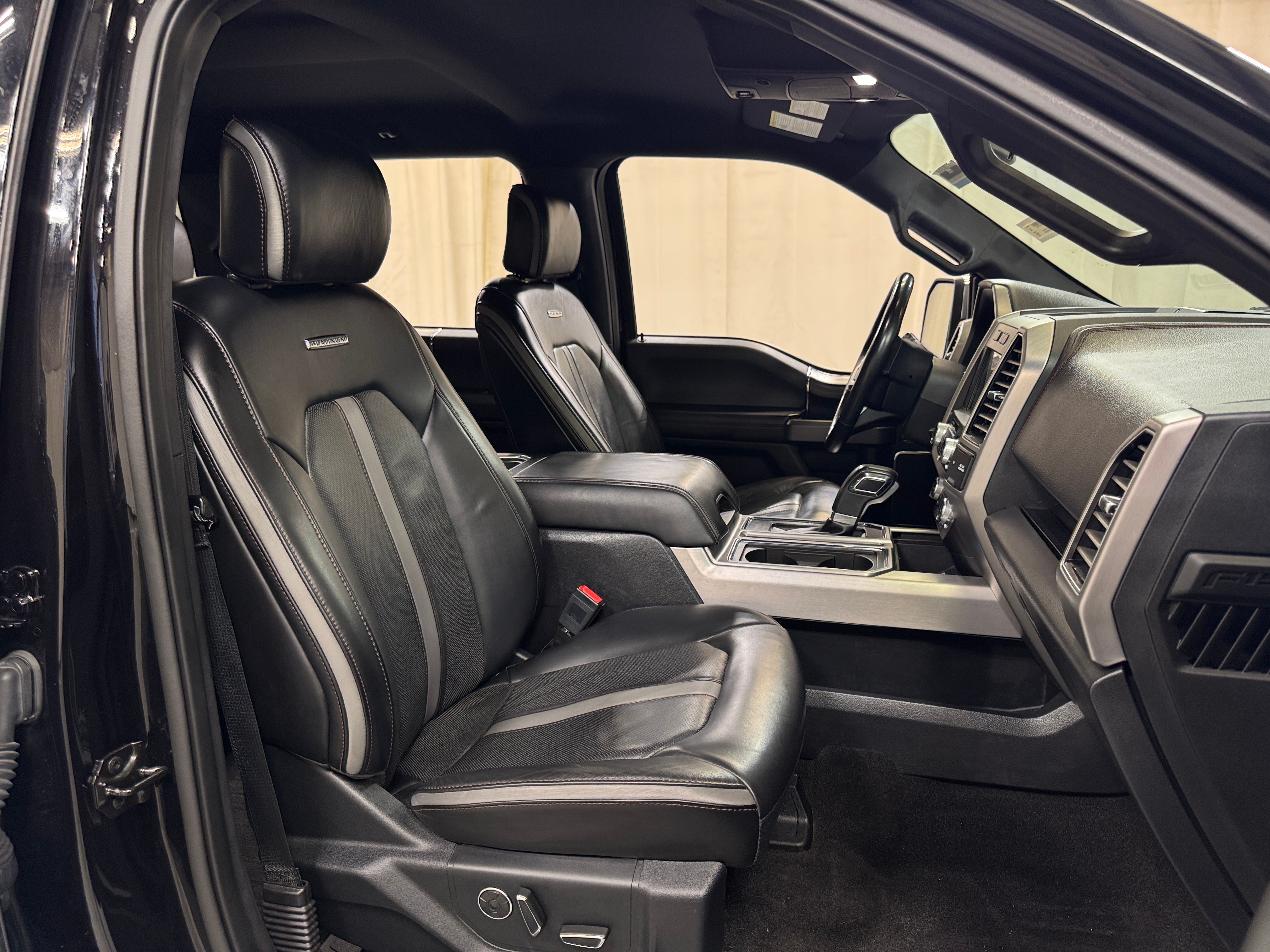 2019 Ford F-150 Platinum - Photo 3