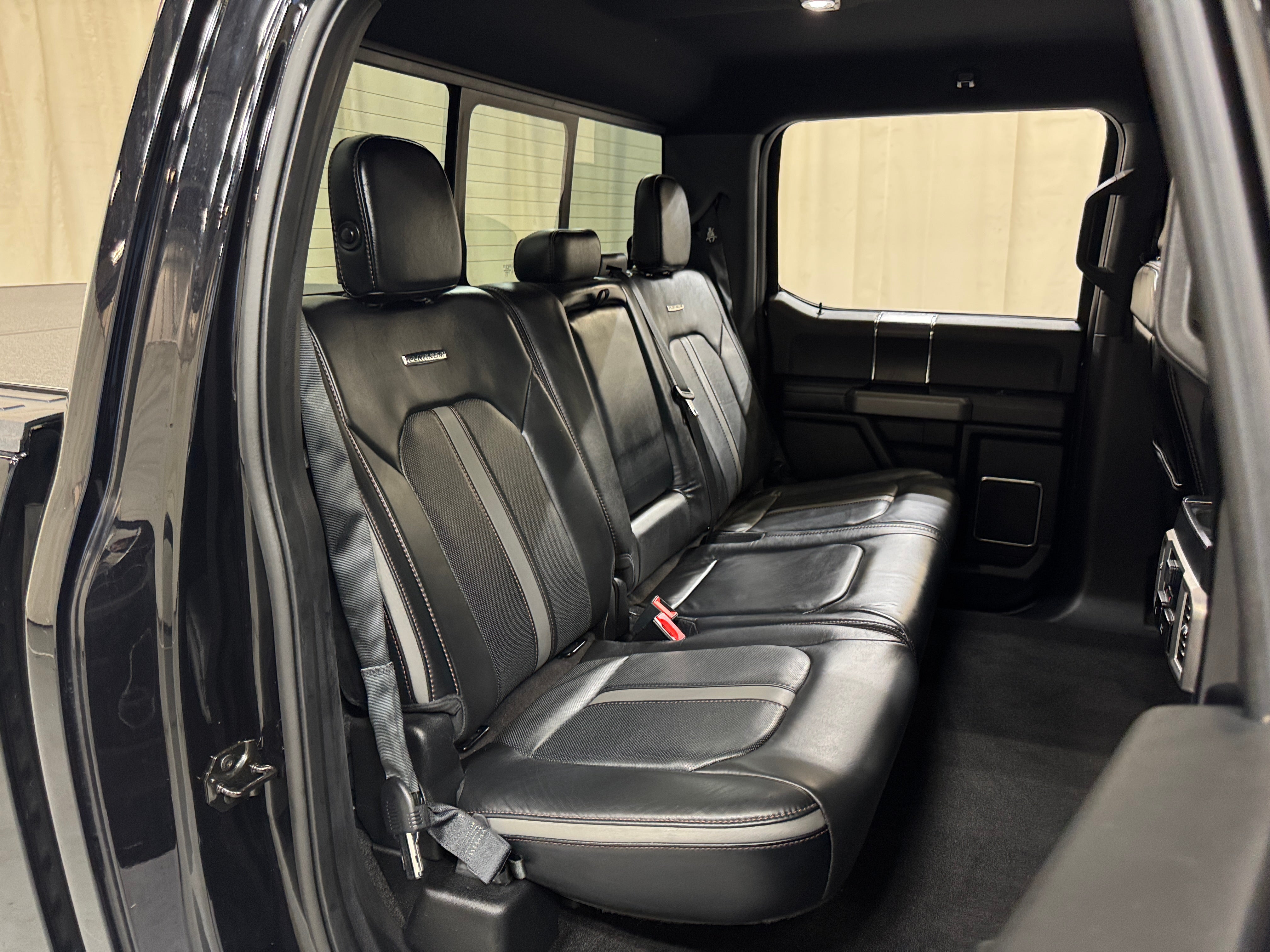 2019 Ford F-150 Platinum - Photo 2