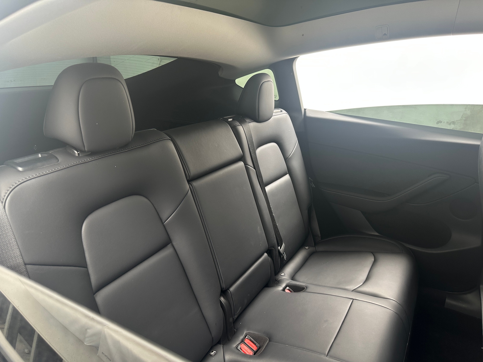 Thumbnail: 2023 Tesla Model Y - 5