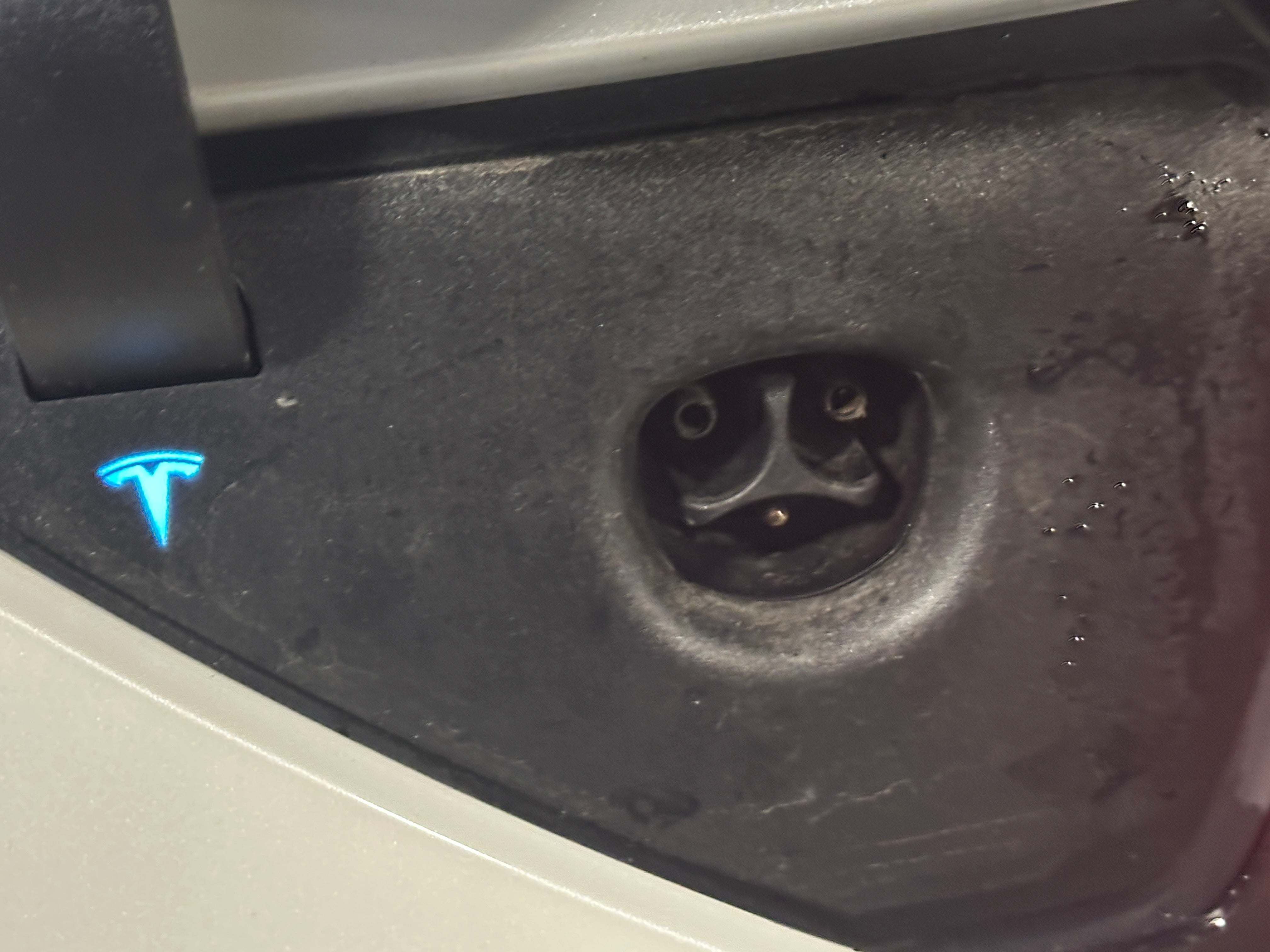 Used 2020 Tesla Model Y Performance with VIN 5YJYGDEF1LF028155 for sale in Auburn, WA