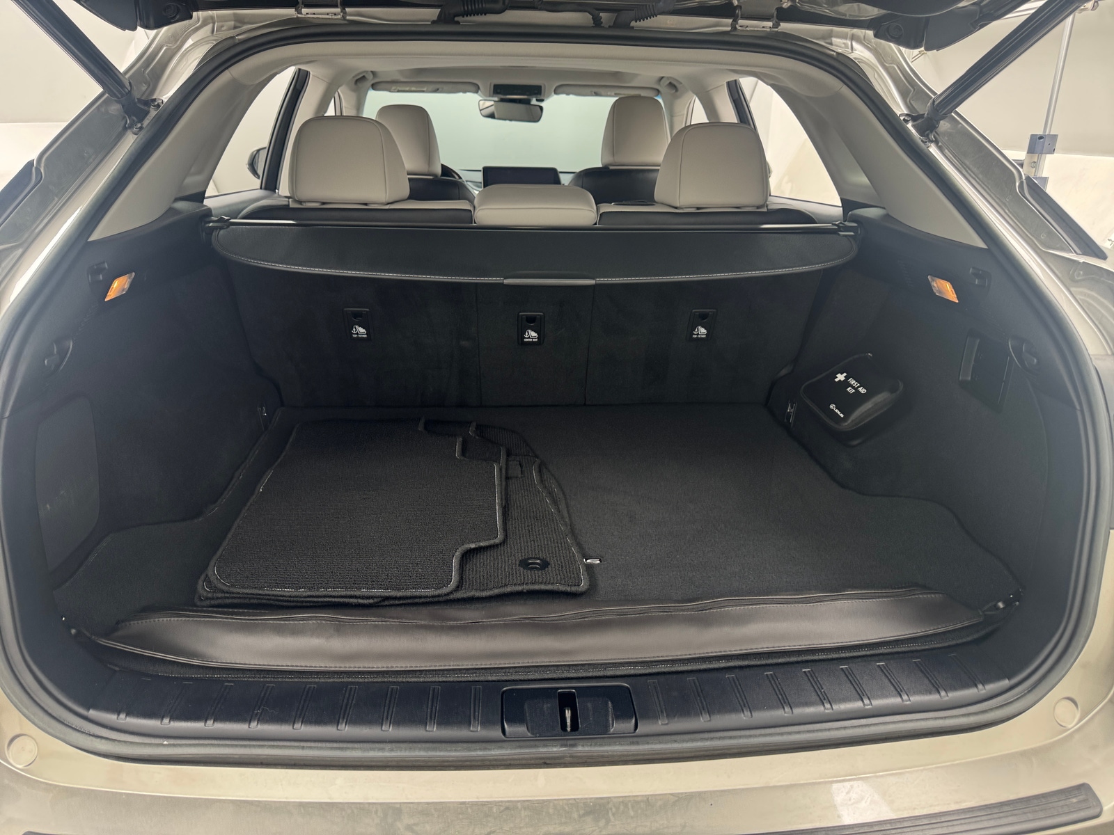Thumbnail: 2018 Lexus RX - 6