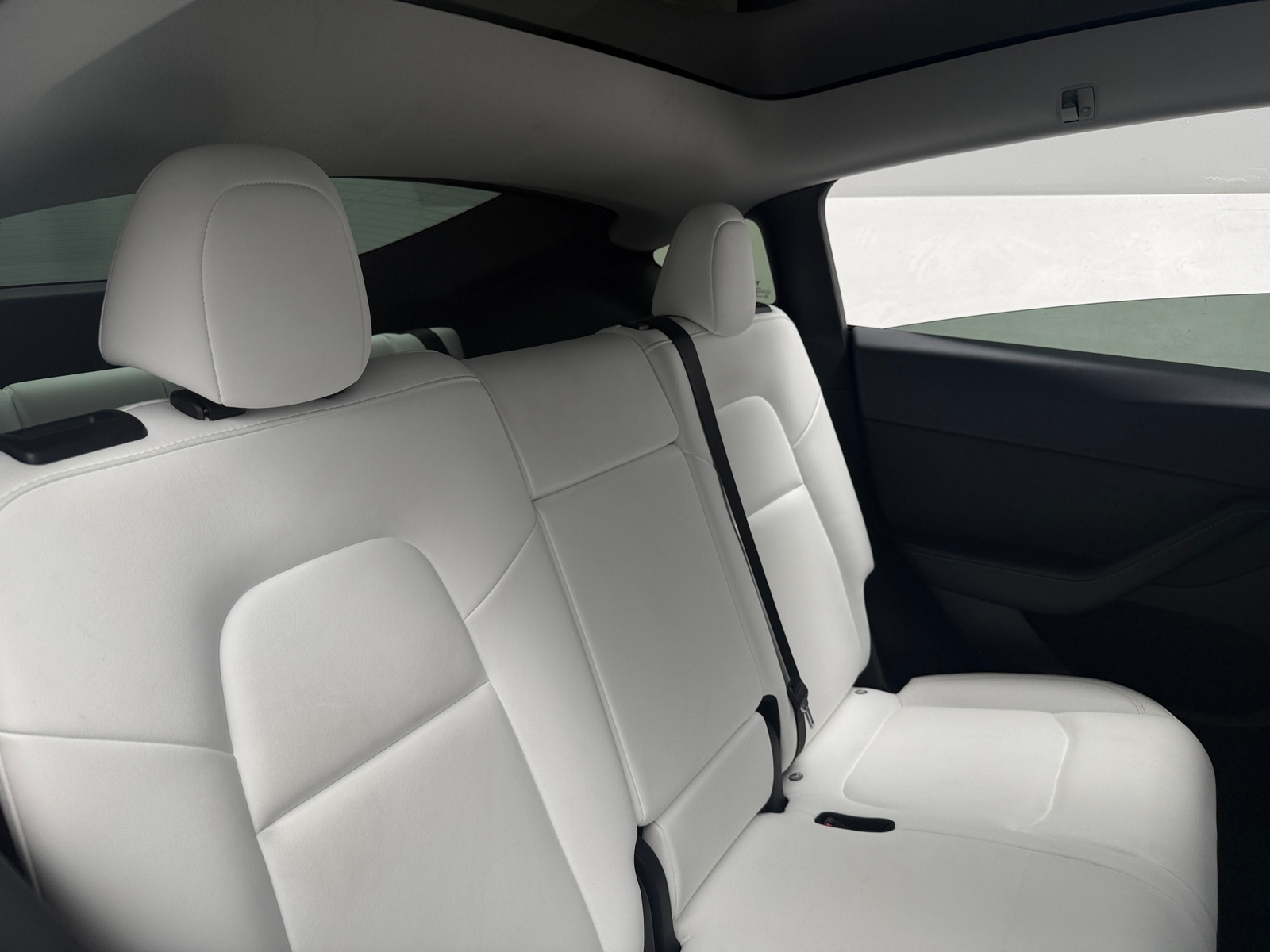 Thumbnail: 2023 Tesla Model Y - 5