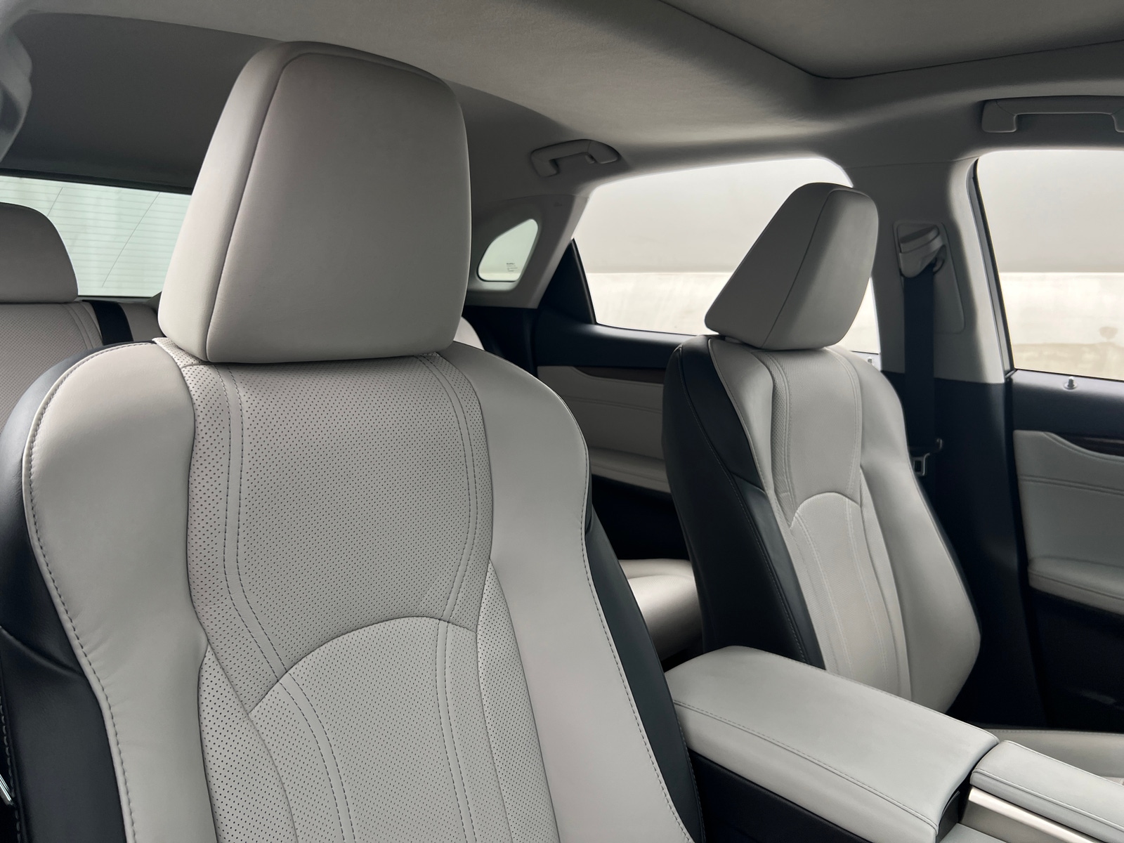 Thumbnail: 2019 Lexus RX - 2
