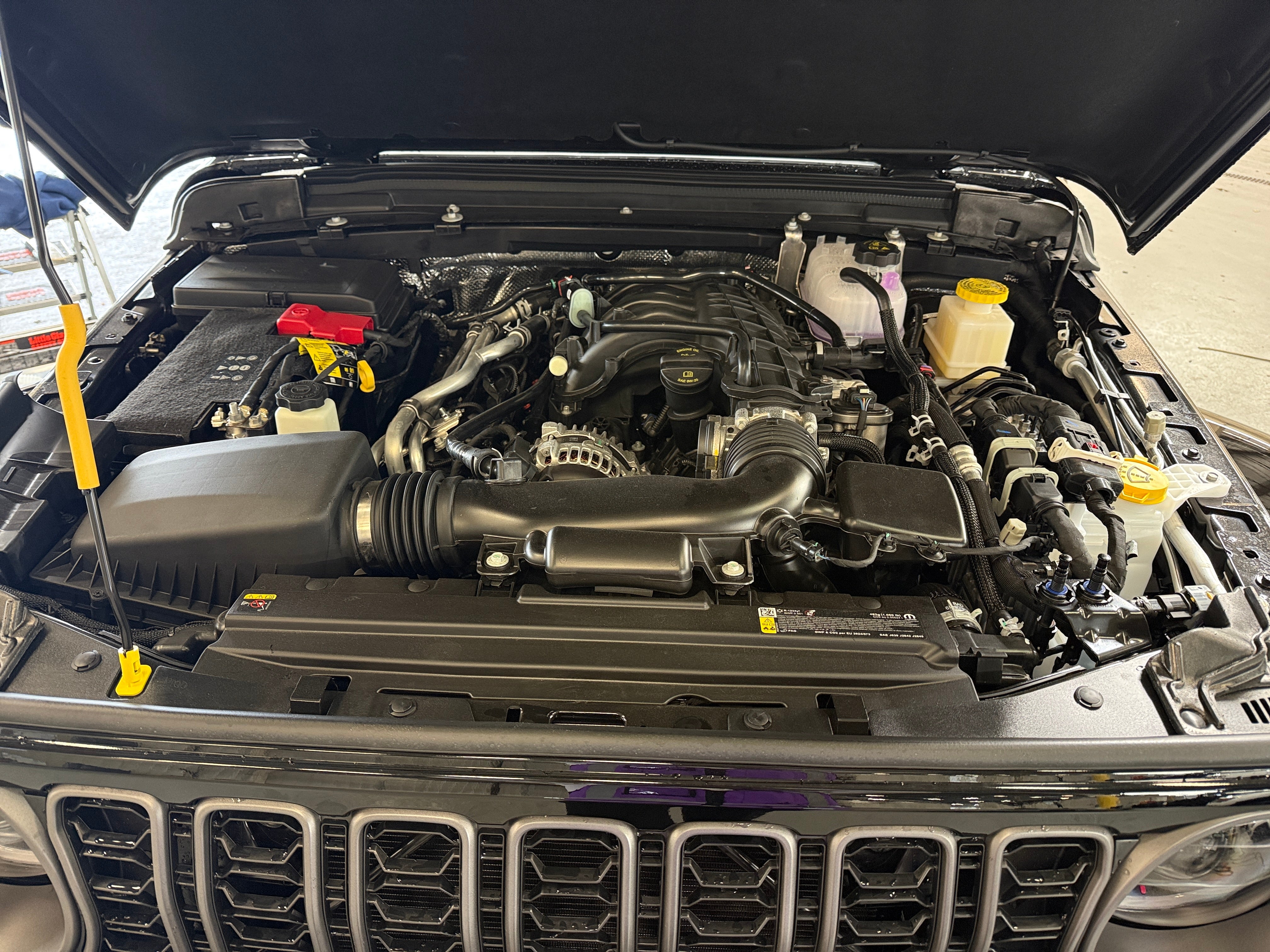 2026 Jeep Gladiator Texas Trail Auto's photo