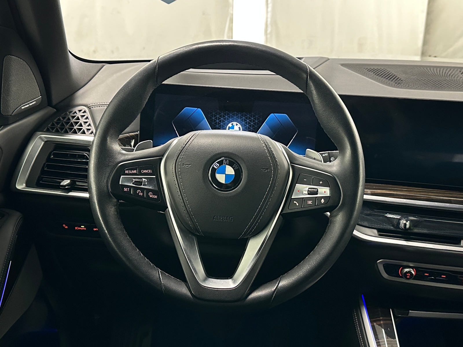 Thumbnail: 2025 BMW X5 - 4
