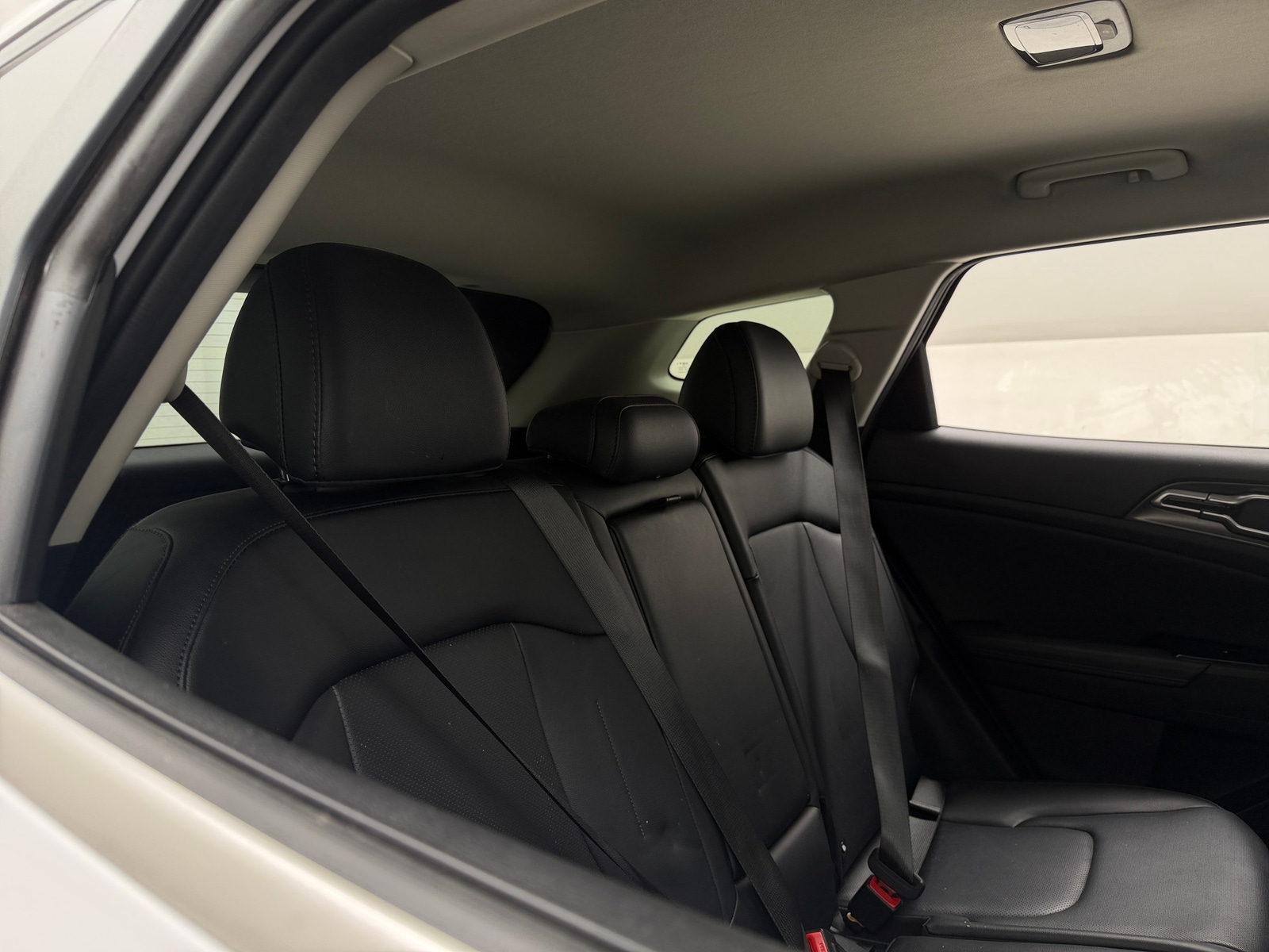 Thumbnail: 2025 Kia Sportage - 5