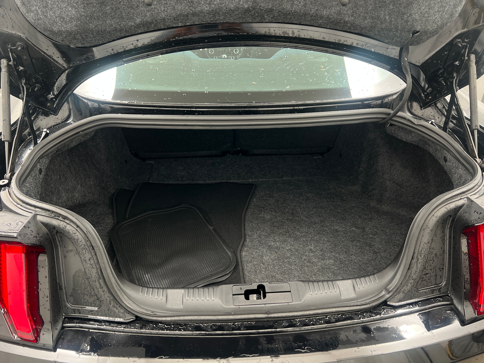 Thumbnail: 2019 Ford Mustang - 5