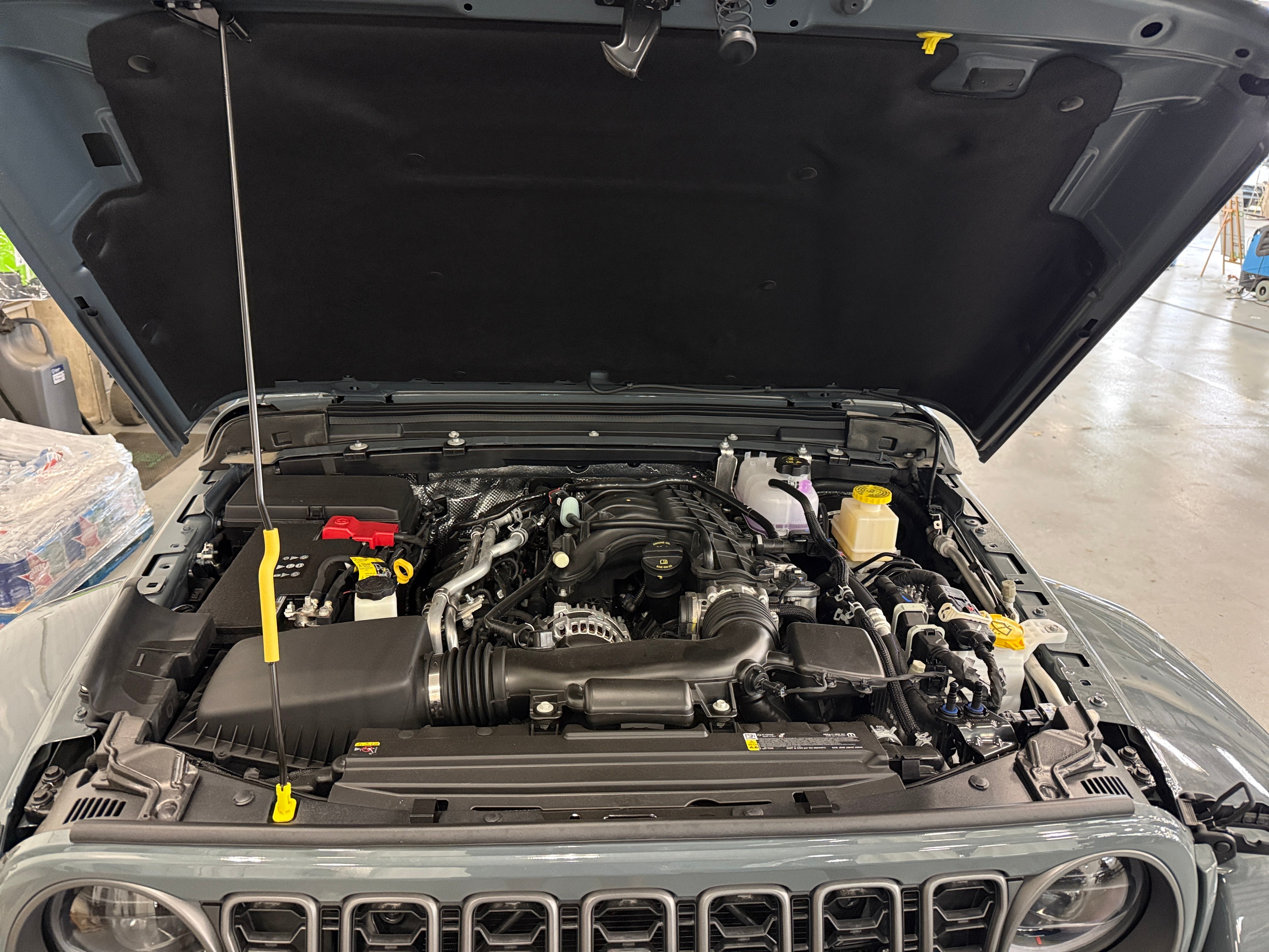 2026 Jeep Gladiator Texas Trail Auto's photo