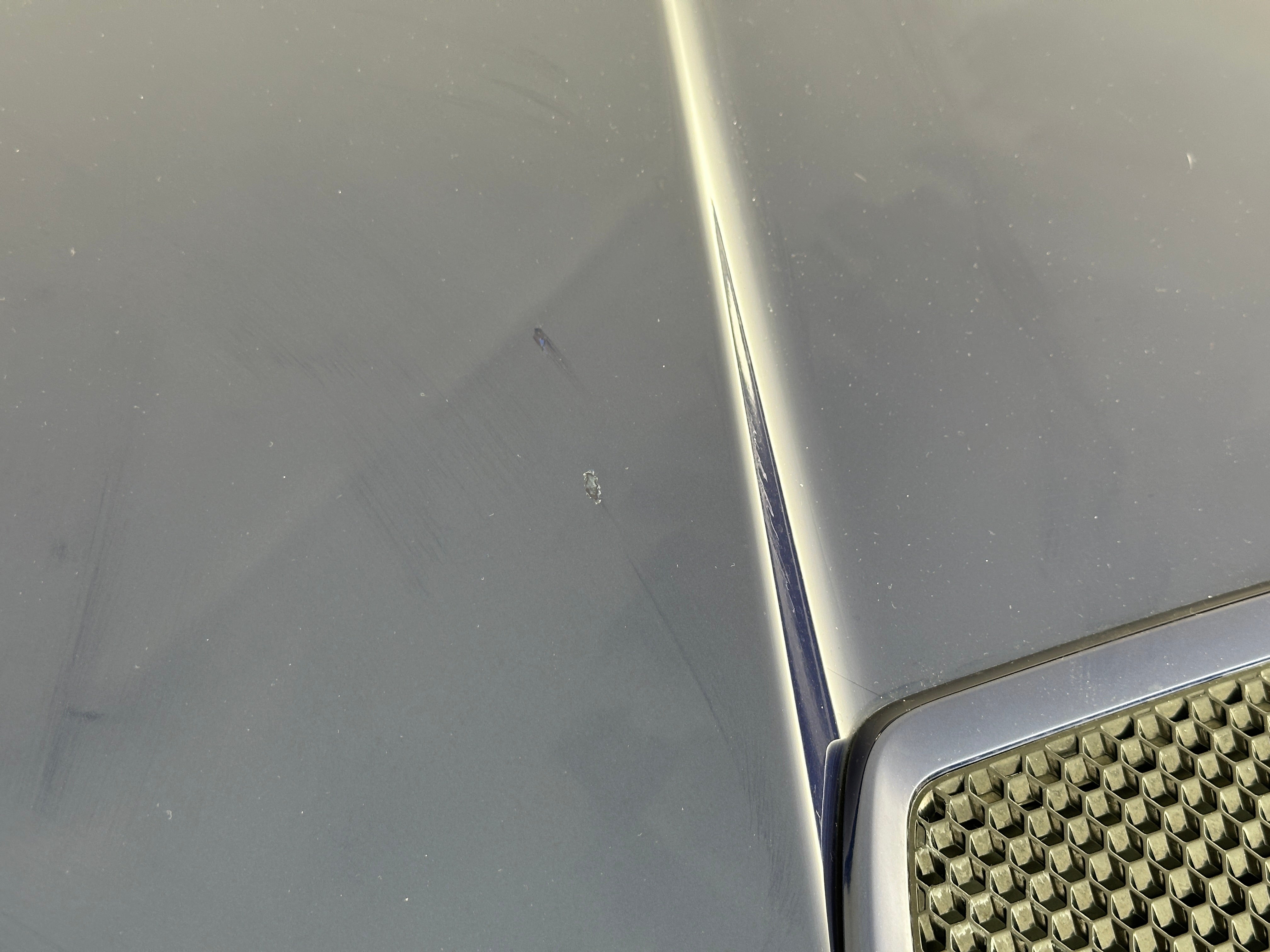 2019 Ford Mustang GT Premium - Photo 18