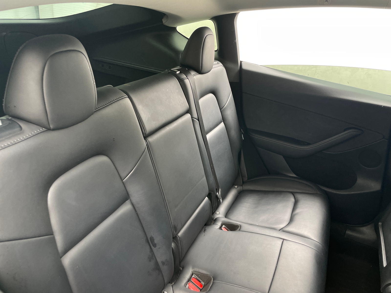 Thumbnail: 2023 Tesla Model Y - 5