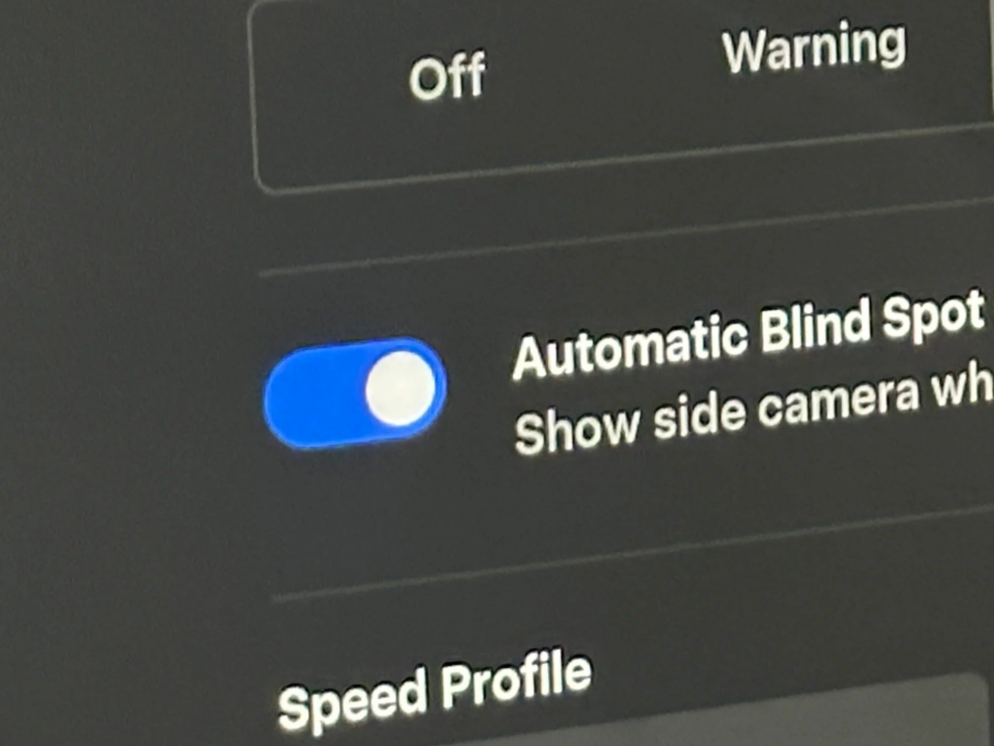 2025 Tesla Model 3 Performance - Photo 11
