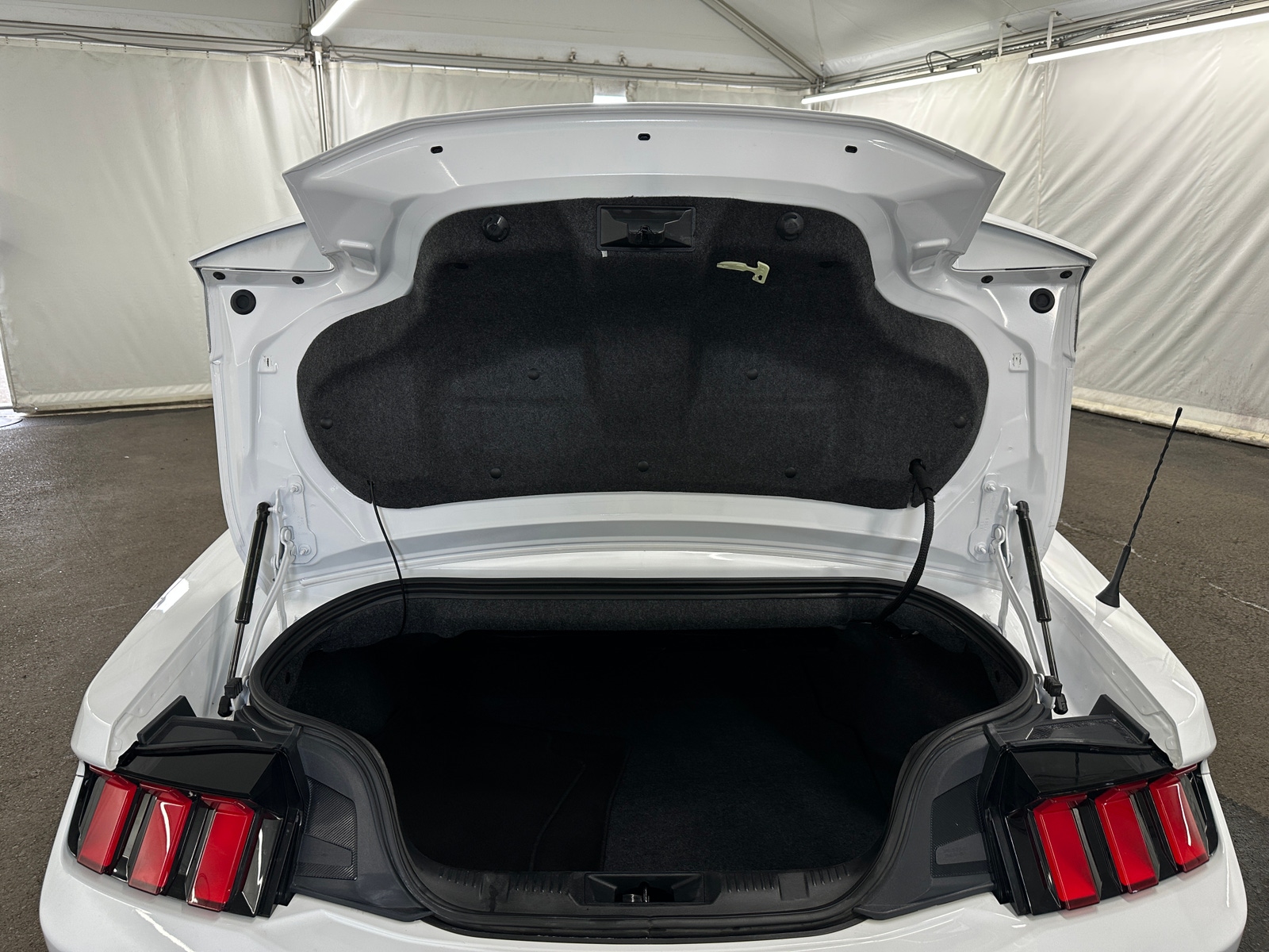Thumbnail: 2025 Ford Mustang - 6