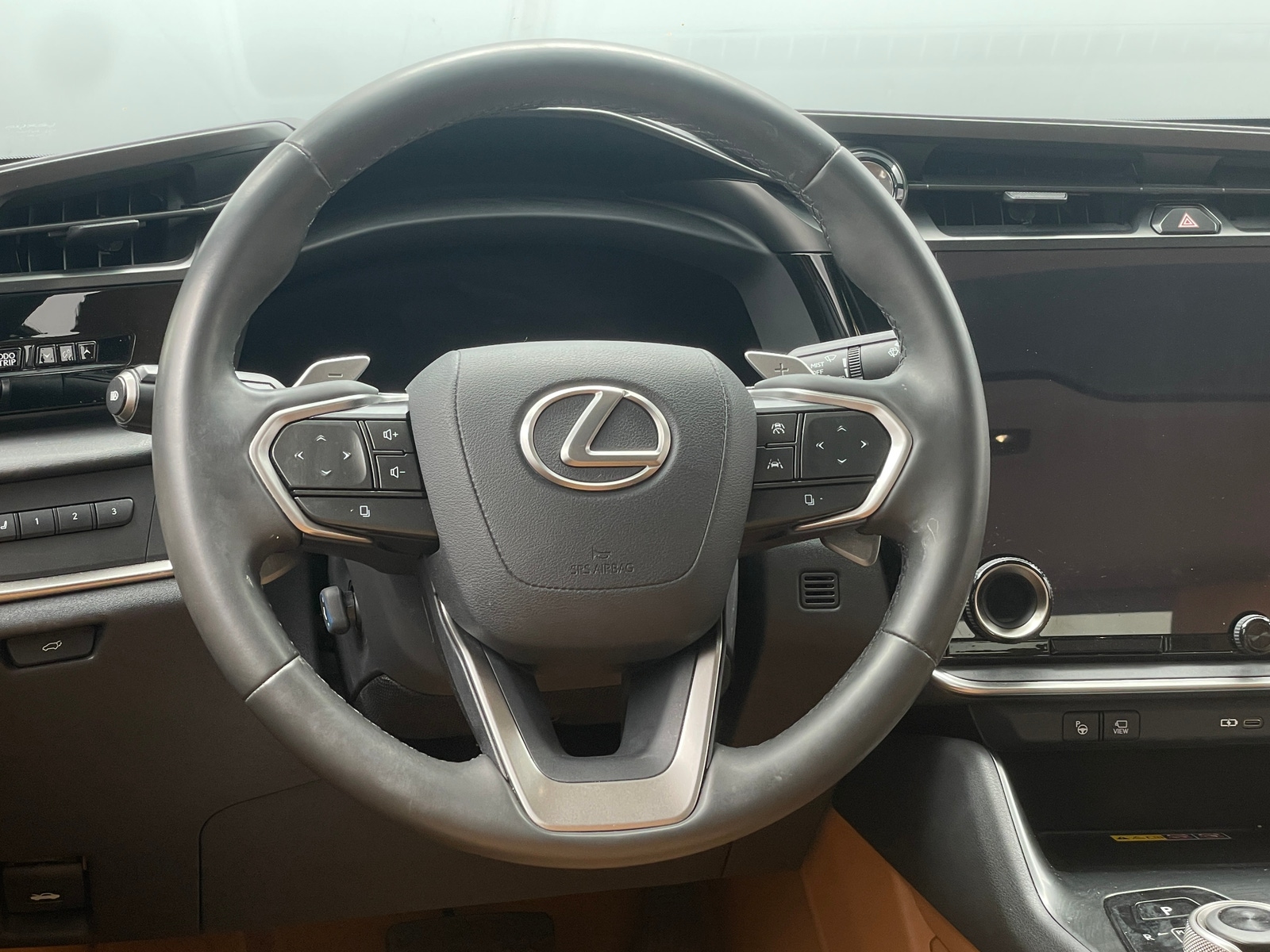 Thumbnail: 2023 Lexus RZ - 5