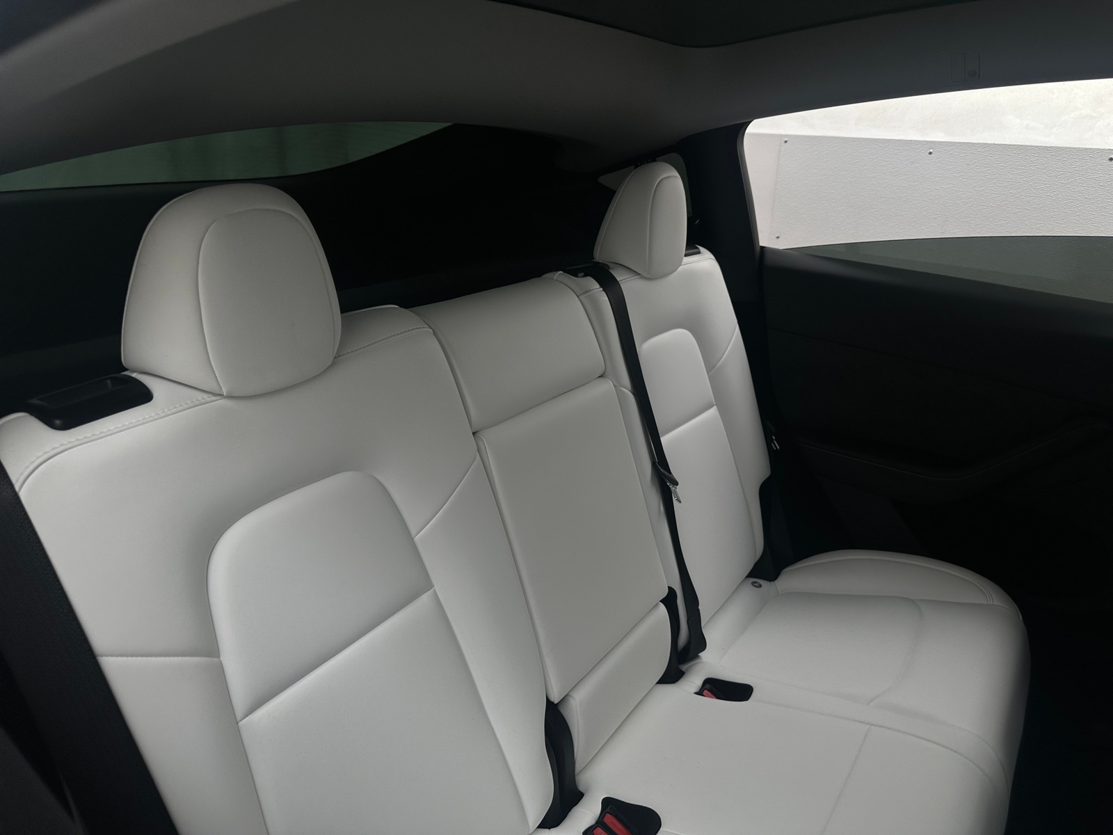 Thumbnail: 2023 Tesla Model Y - 5