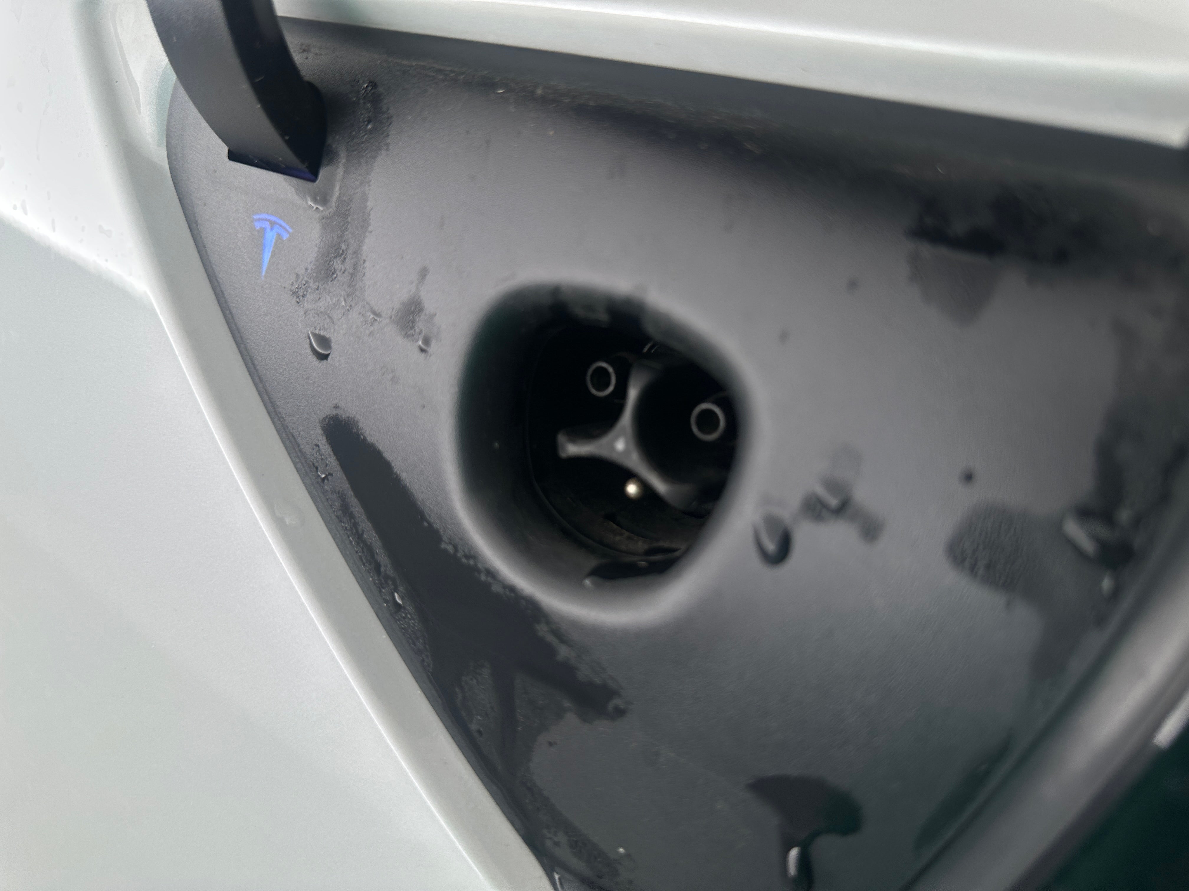 Used 2024 Tesla Model Y Long Range with VIN 7SAYGDED5RF017797 for sale in Auburn, WA