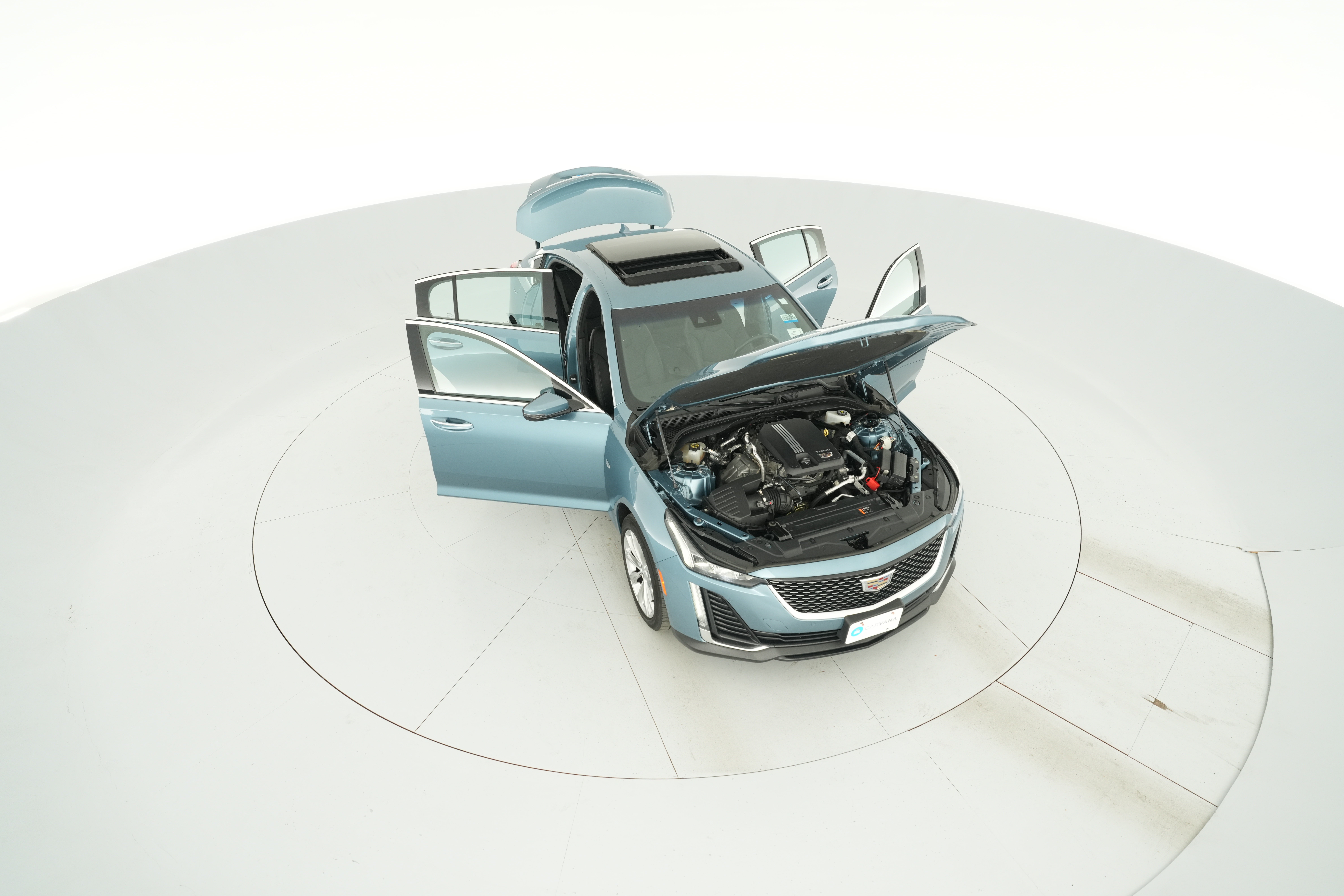 Photo 56