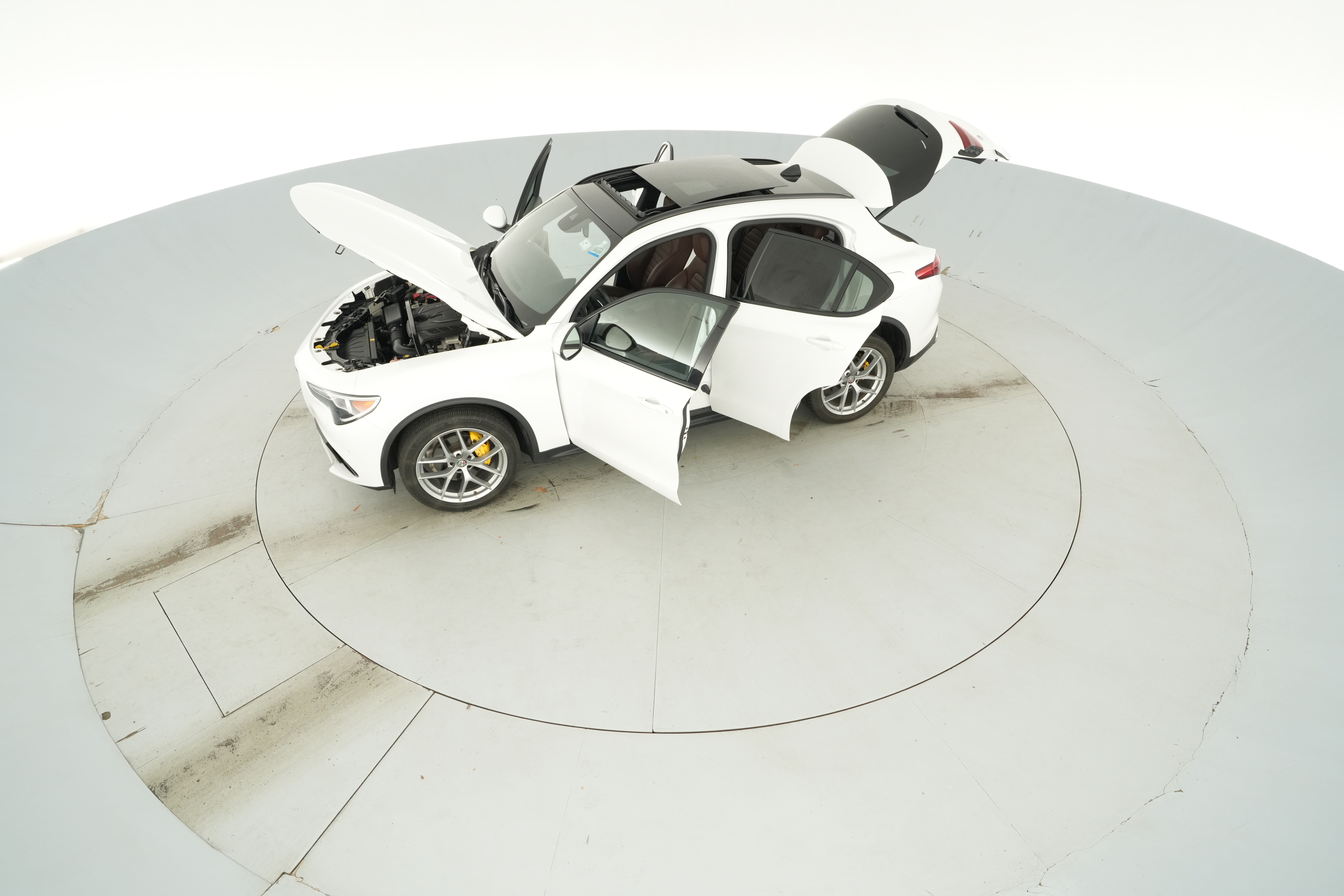 Photo 46