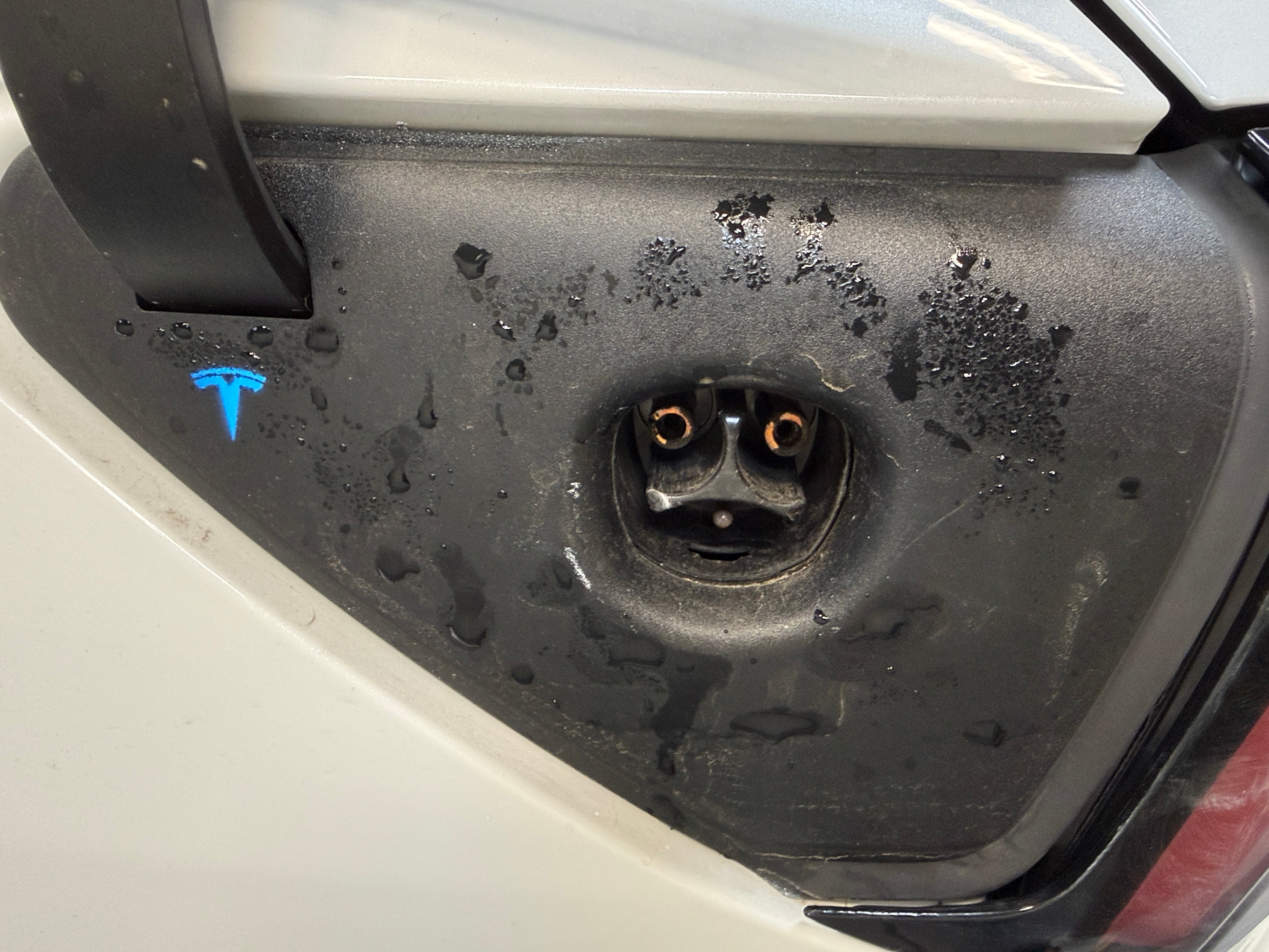 2019 Tesla Model 3 Long Range - Photo 10