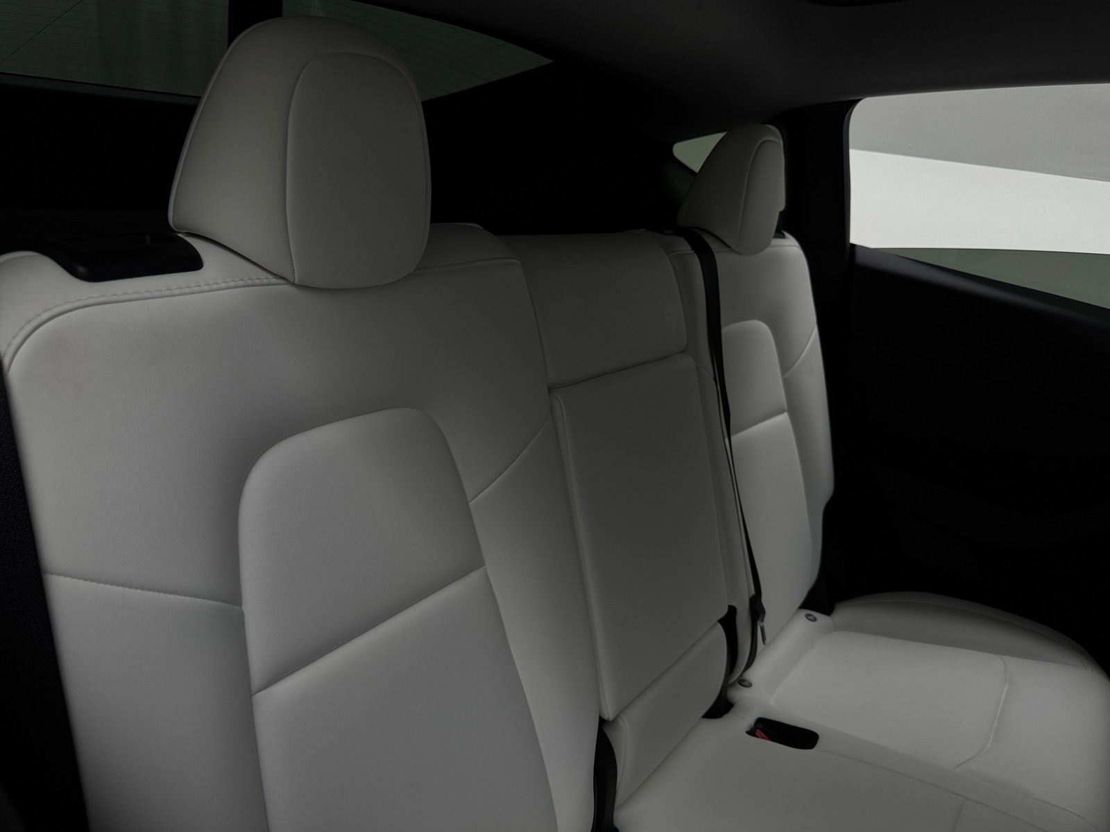 Thumbnail: 2023 Tesla Model Y - 5