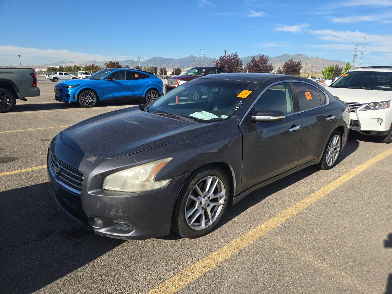 2009 Nissan Maxima 3.5 SV W/Premium PKG