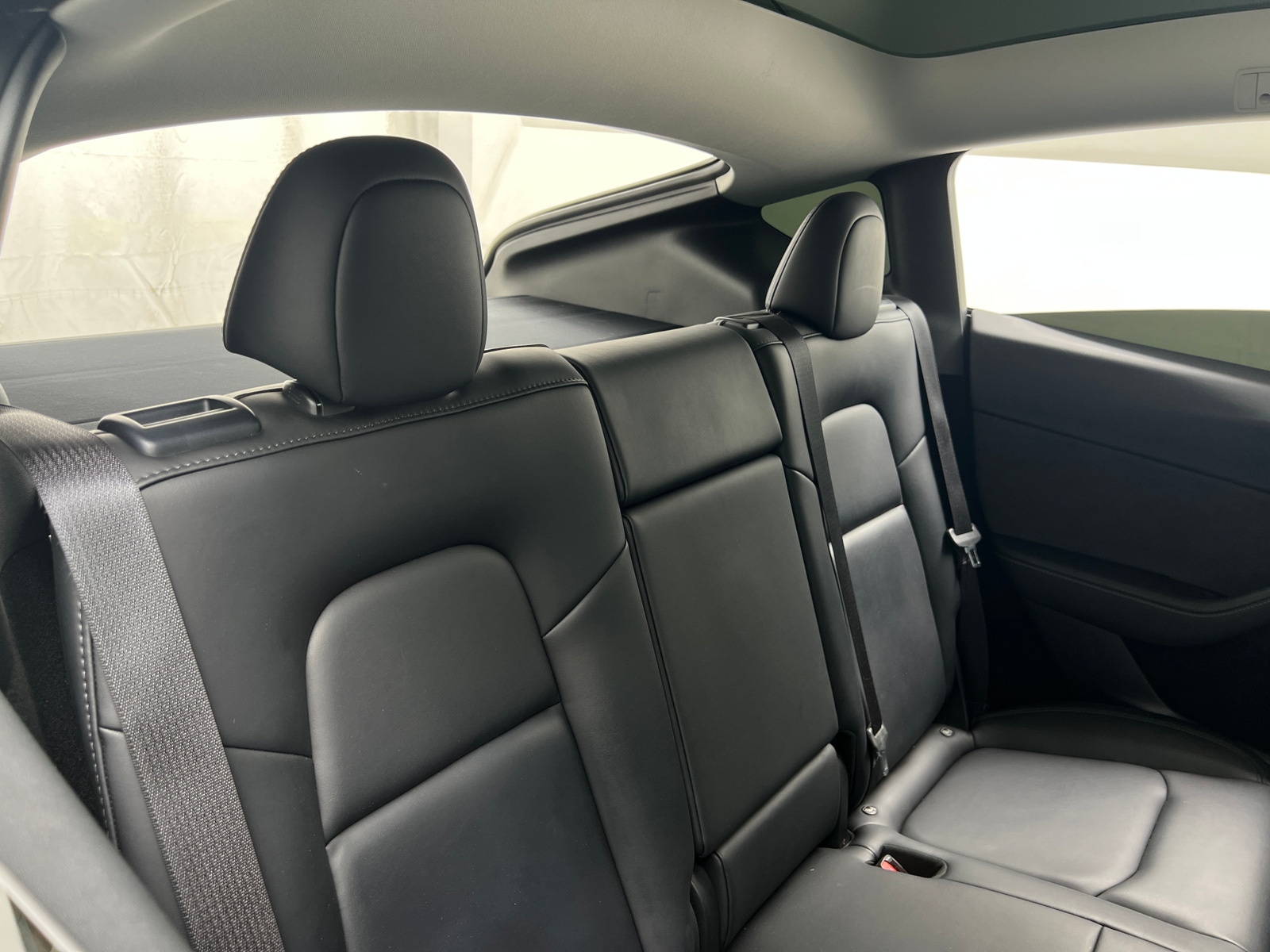Thumbnail: 2023 Tesla Model Y - 5