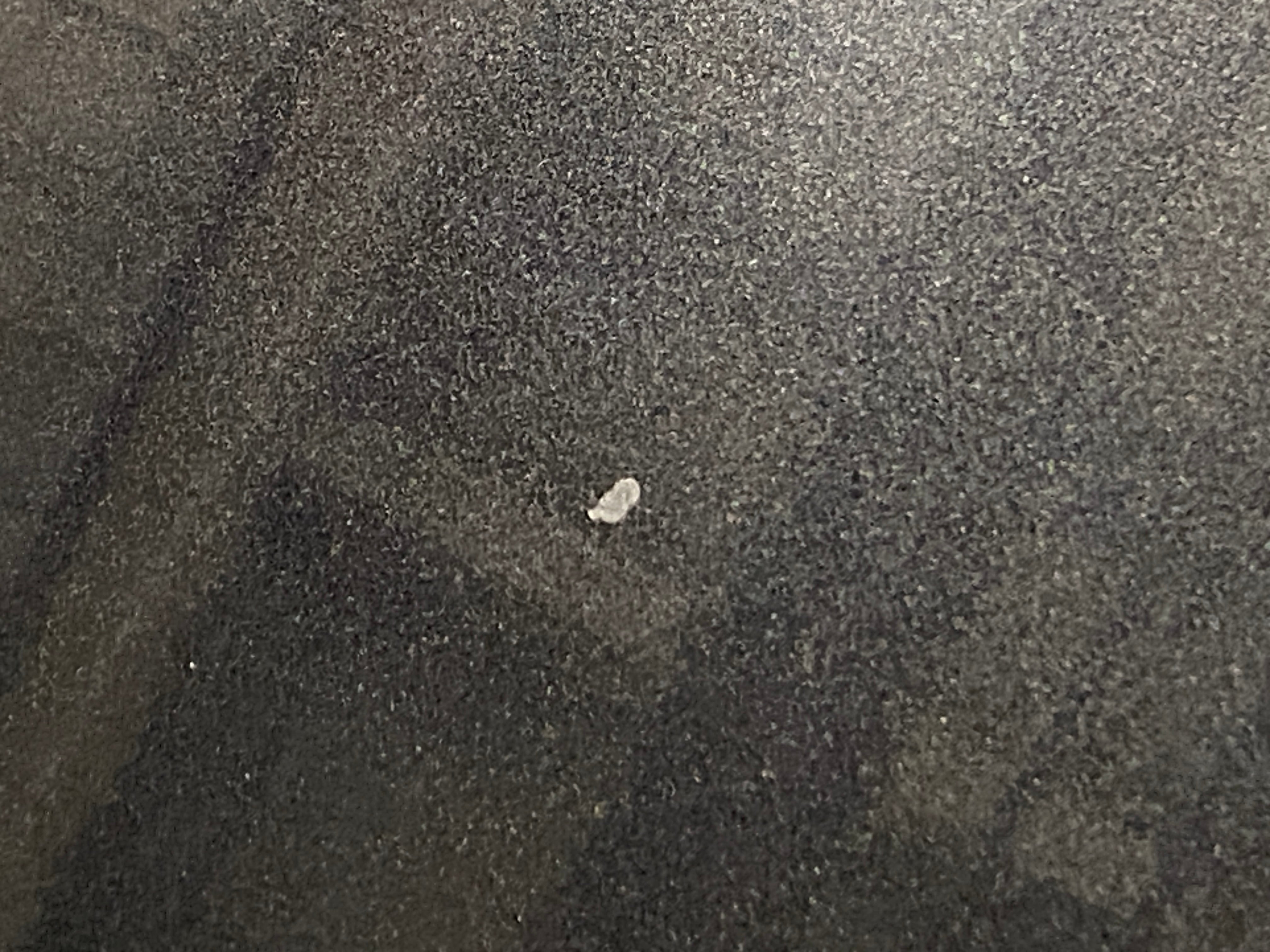 2024 Tesla Model 3 Performance - Photo 24