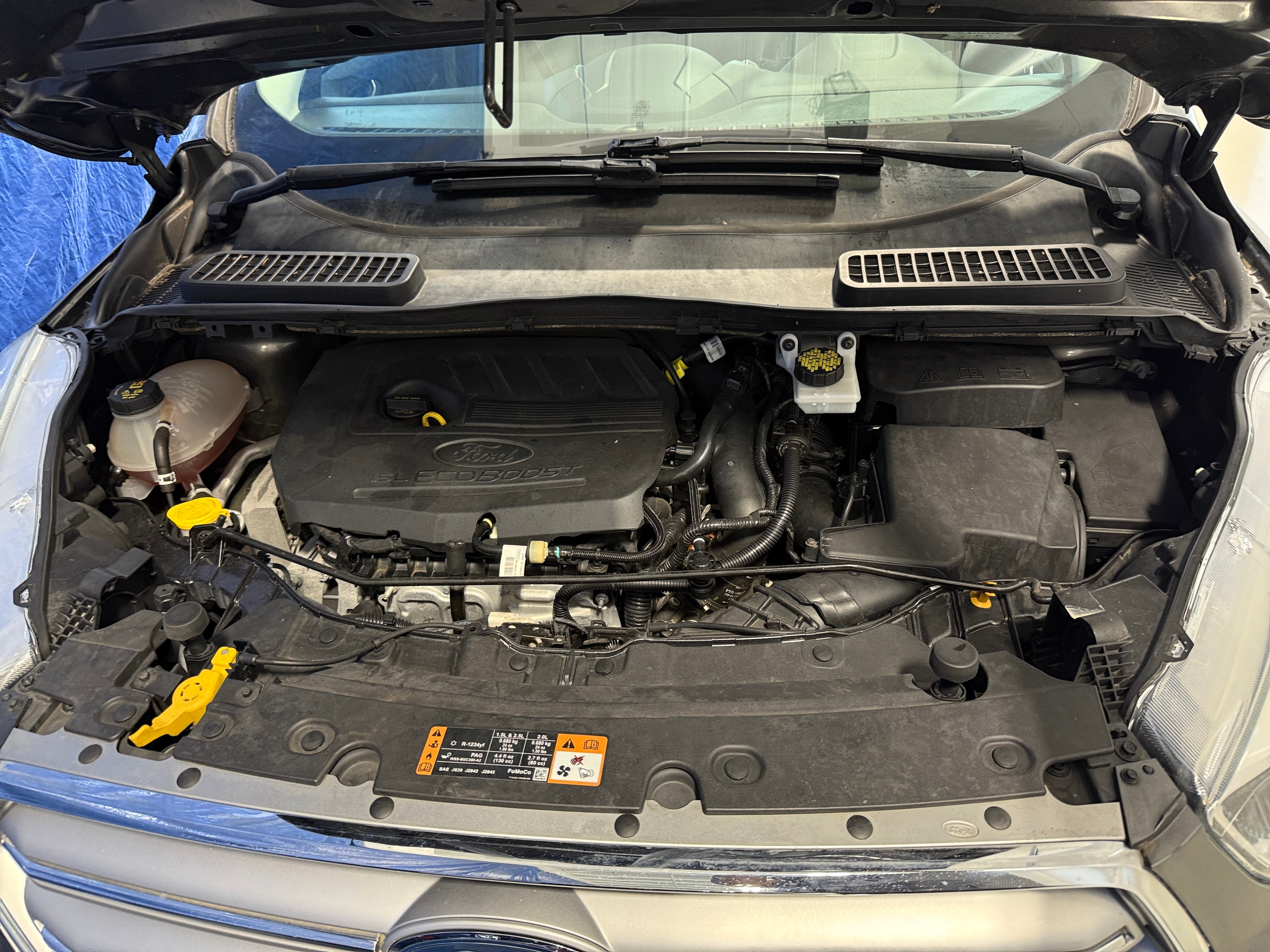 Used 2017 Ford Escape SE with VIN 1FMCU0GD3HUB74431 for sale in Auburn, WA