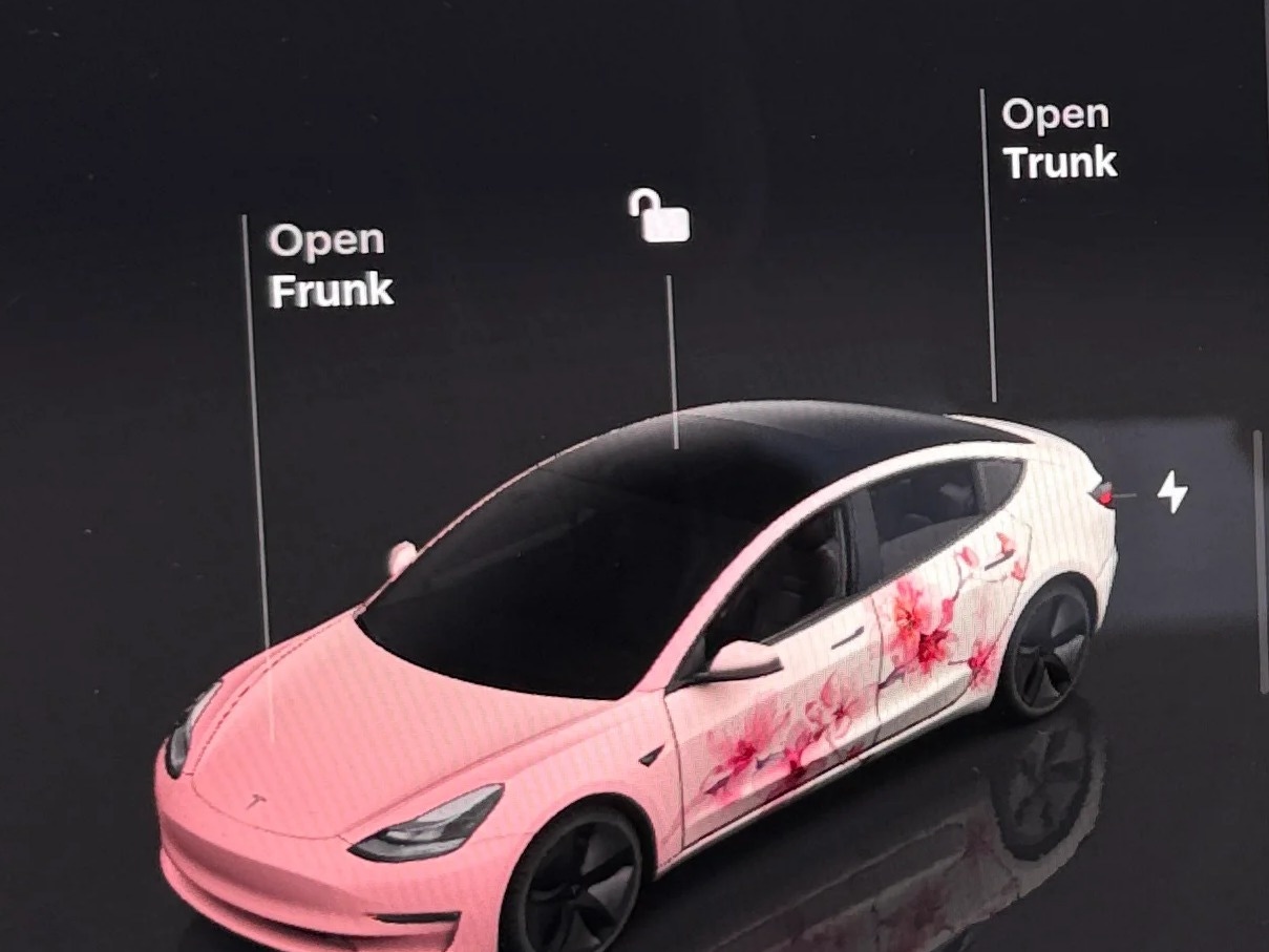 Thumbnail: 2022 Tesla Model 3 - 3