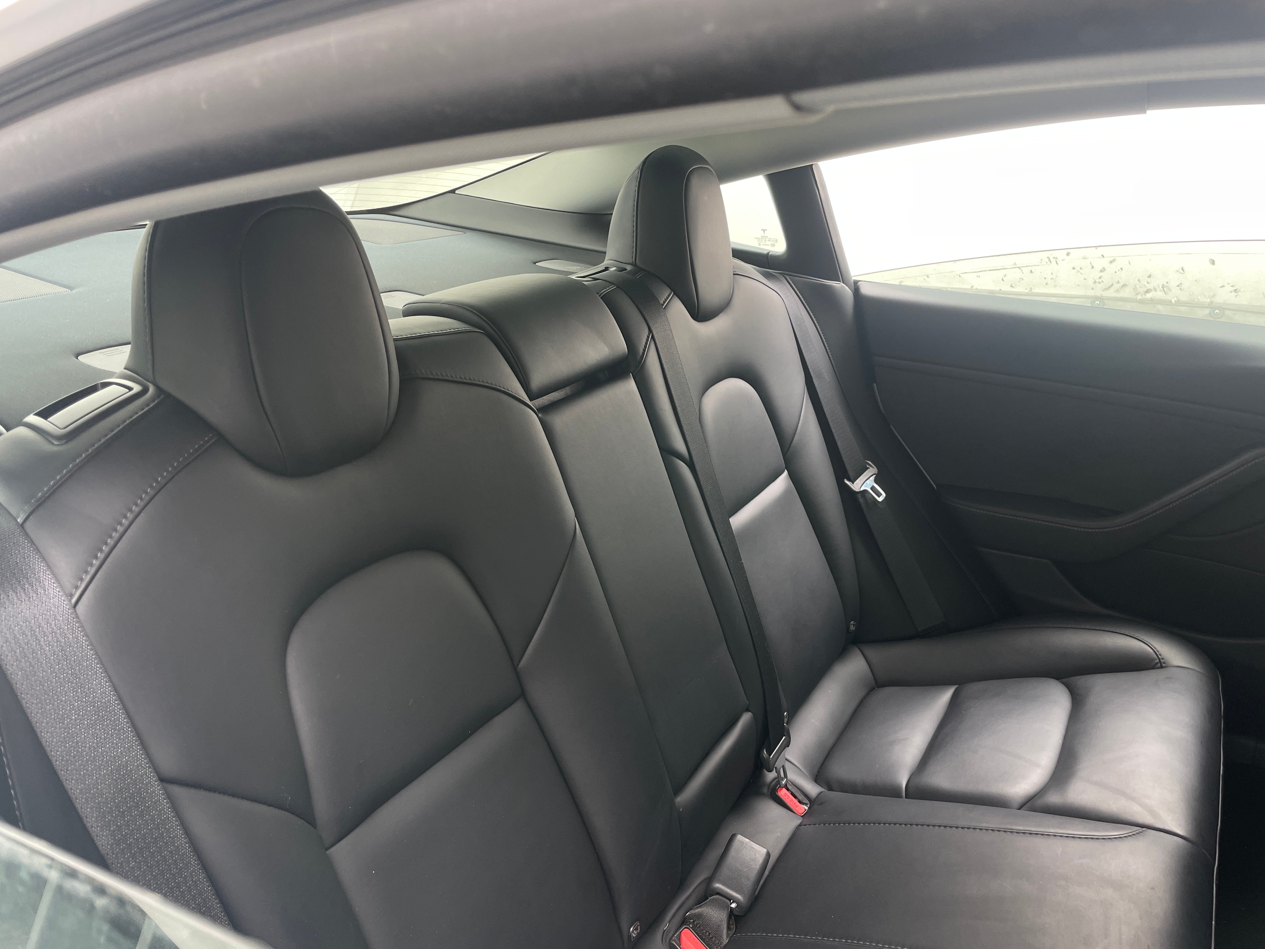 Used 2021 Tesla Model 3 Base with VIN 5YJ3E1EB6MF855713 for sale in Auburn, WA