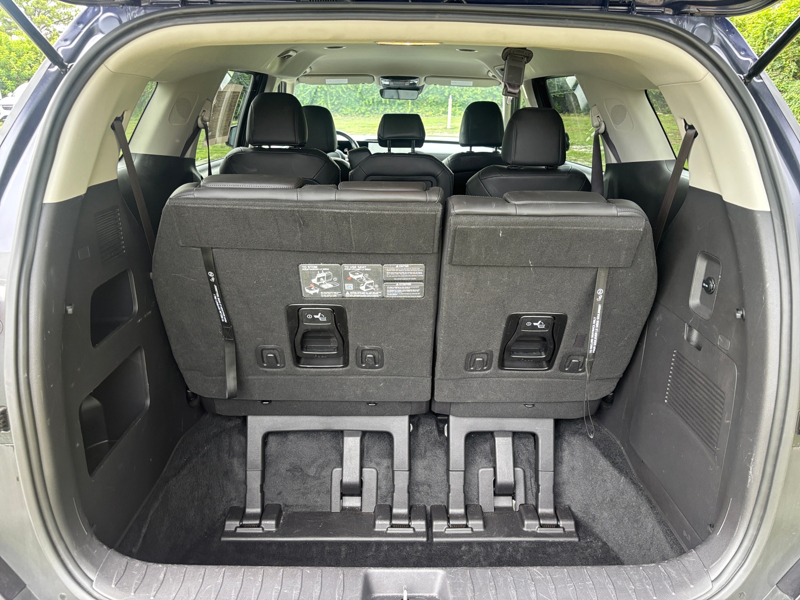 Thumbnail: 2026 Kia Carnival - 6