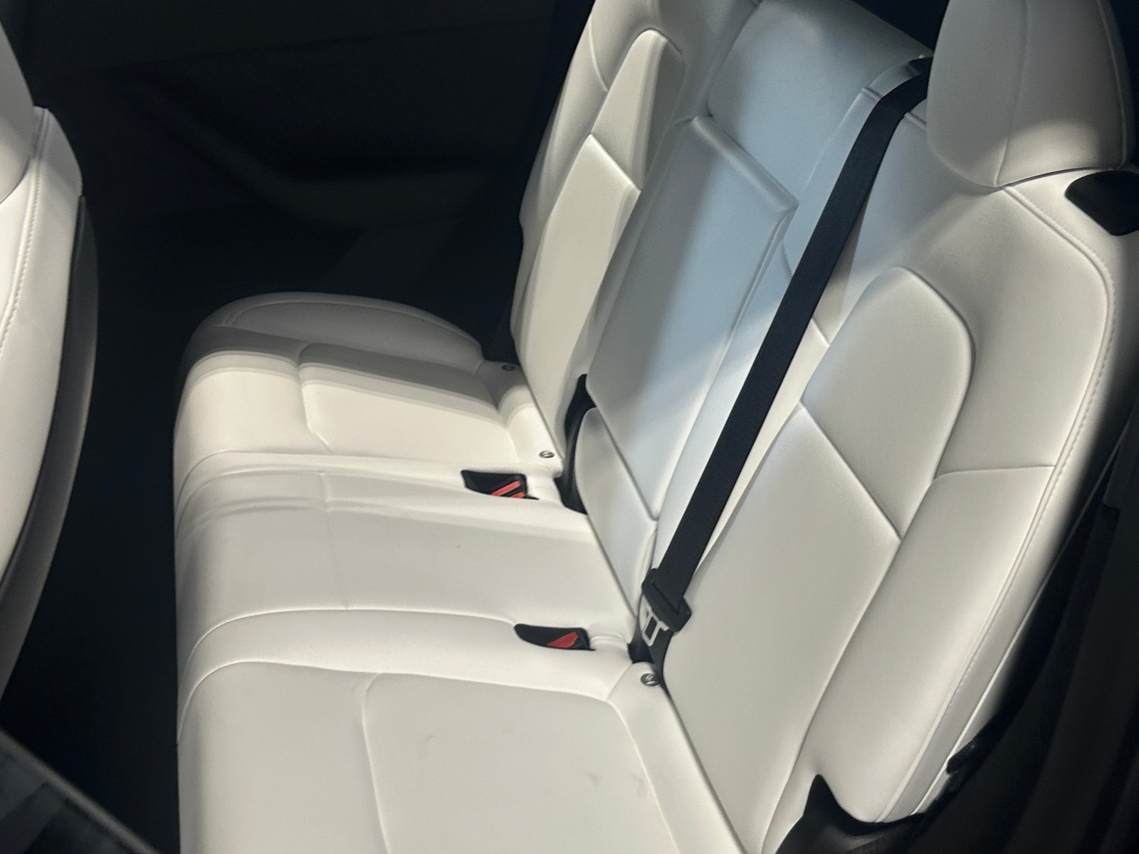 Thumbnail: 2023 Tesla Model Y - 5