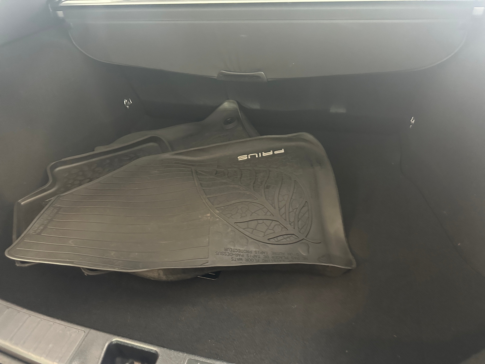 Thumbnail: 2019 Toyota Prius - 6
