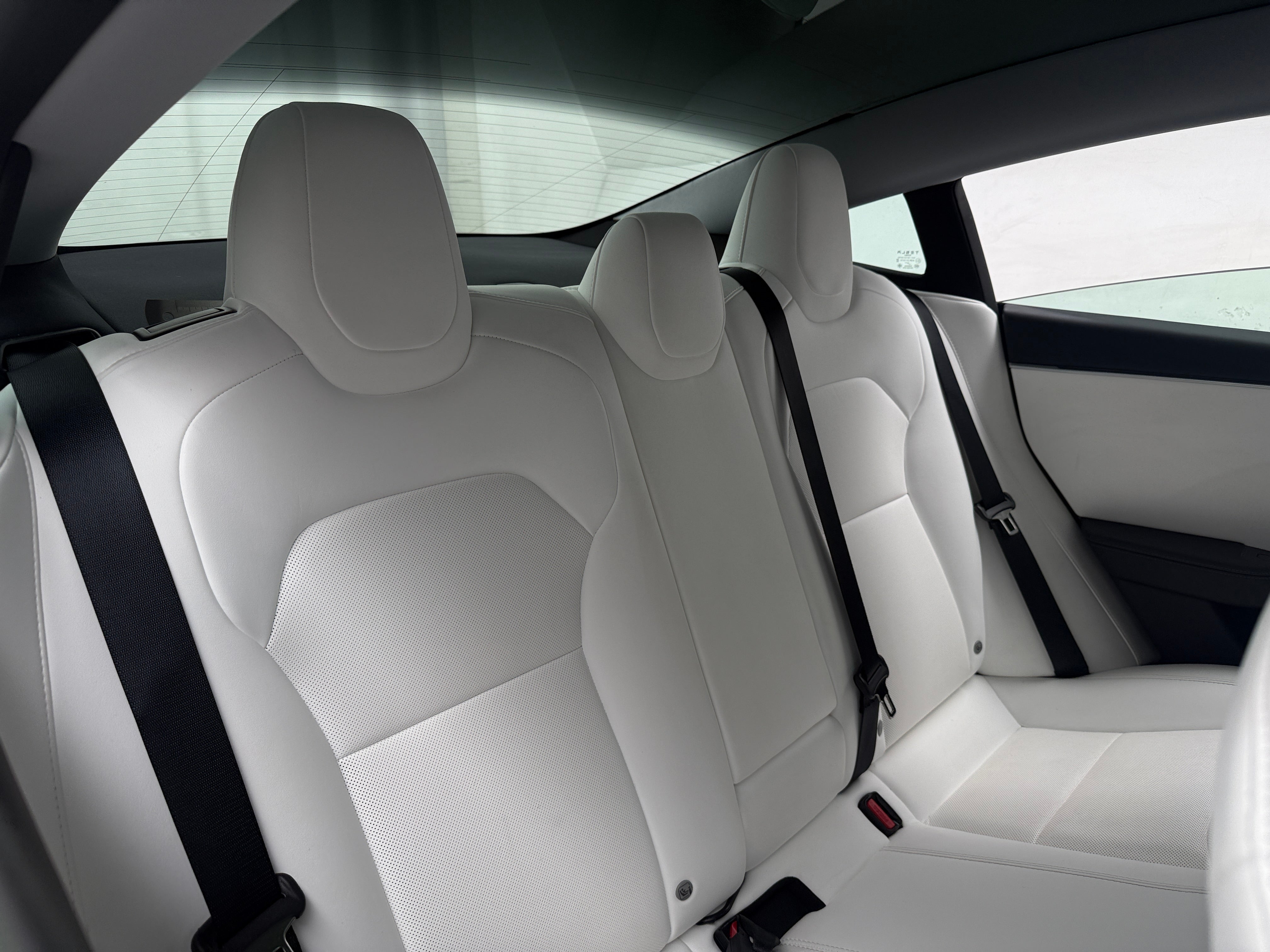 Used 2025 Tesla Model 3 Long Range with VIN 5YJ3E1EA0SF977892 for sale in Auburn, WA