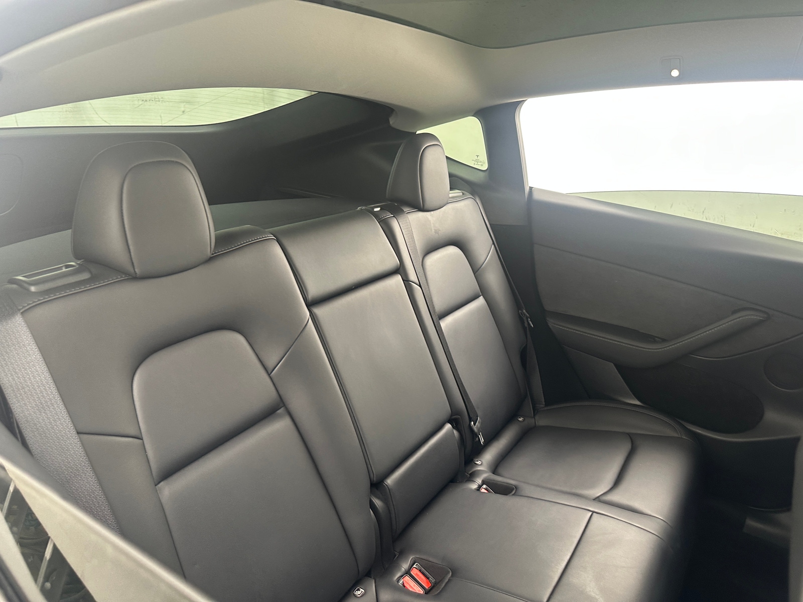 Thumbnail: 2023 Tesla Model Y - 5