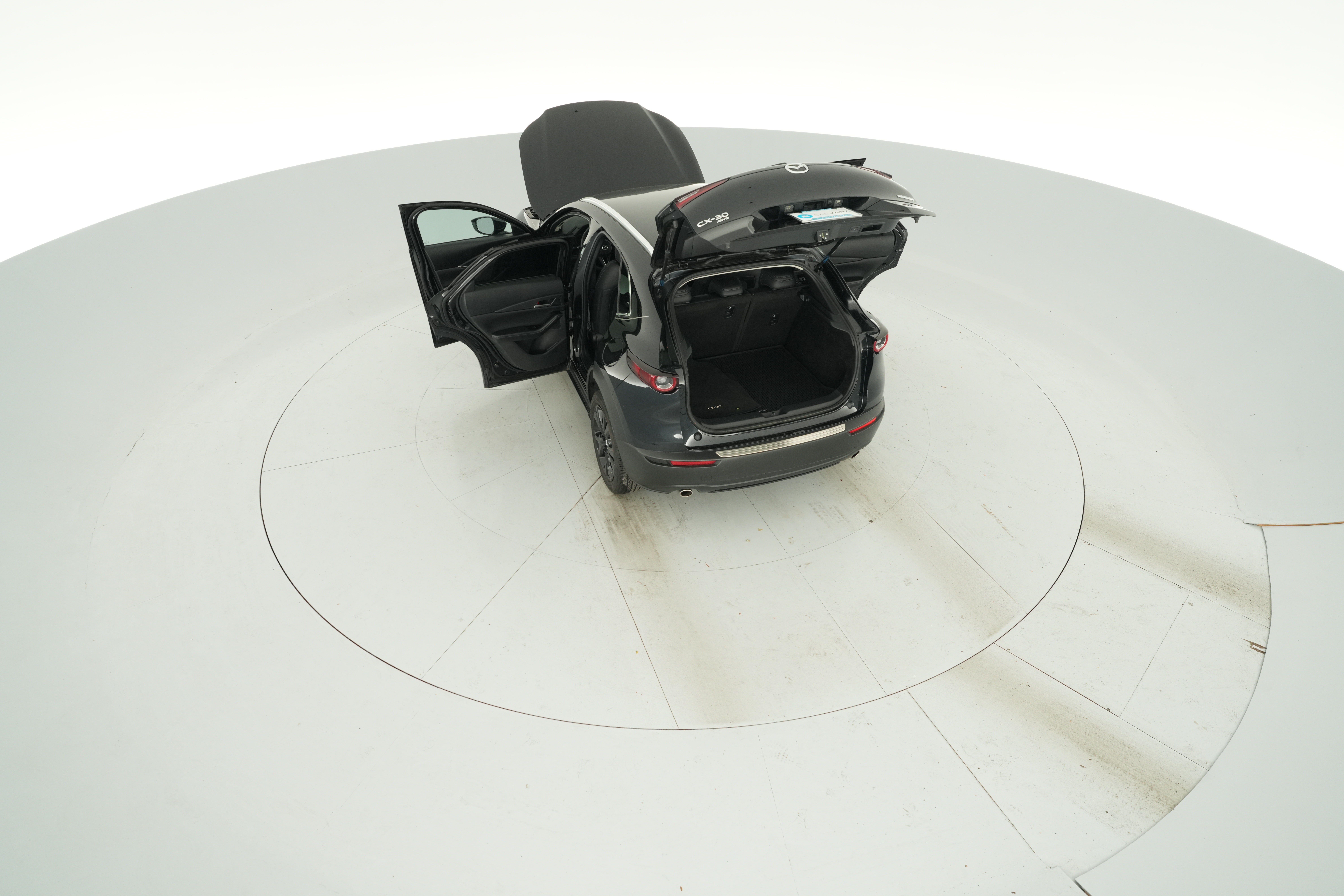 Photo 44