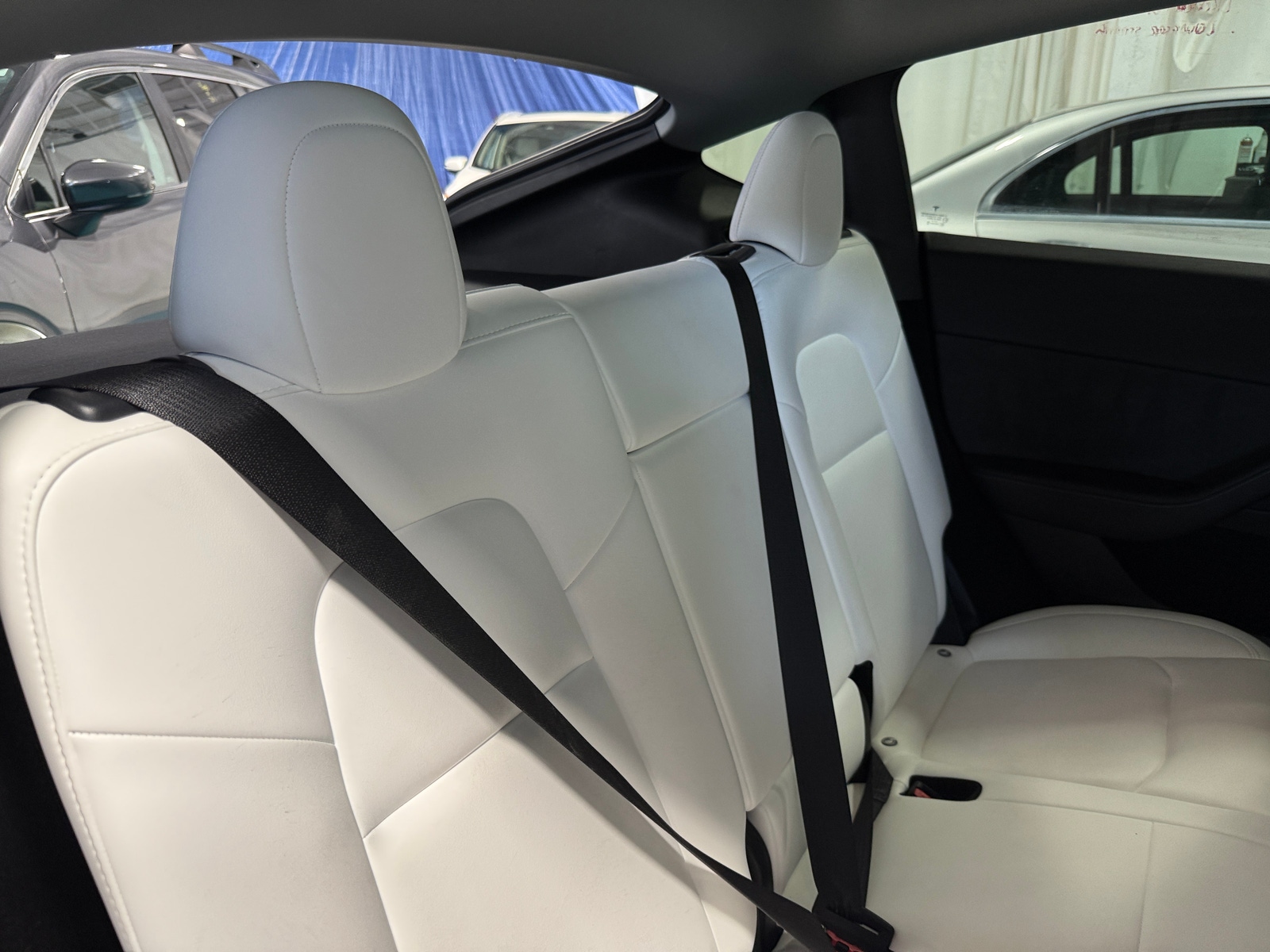 Thumbnail: 2023 Tesla Model Y - 5