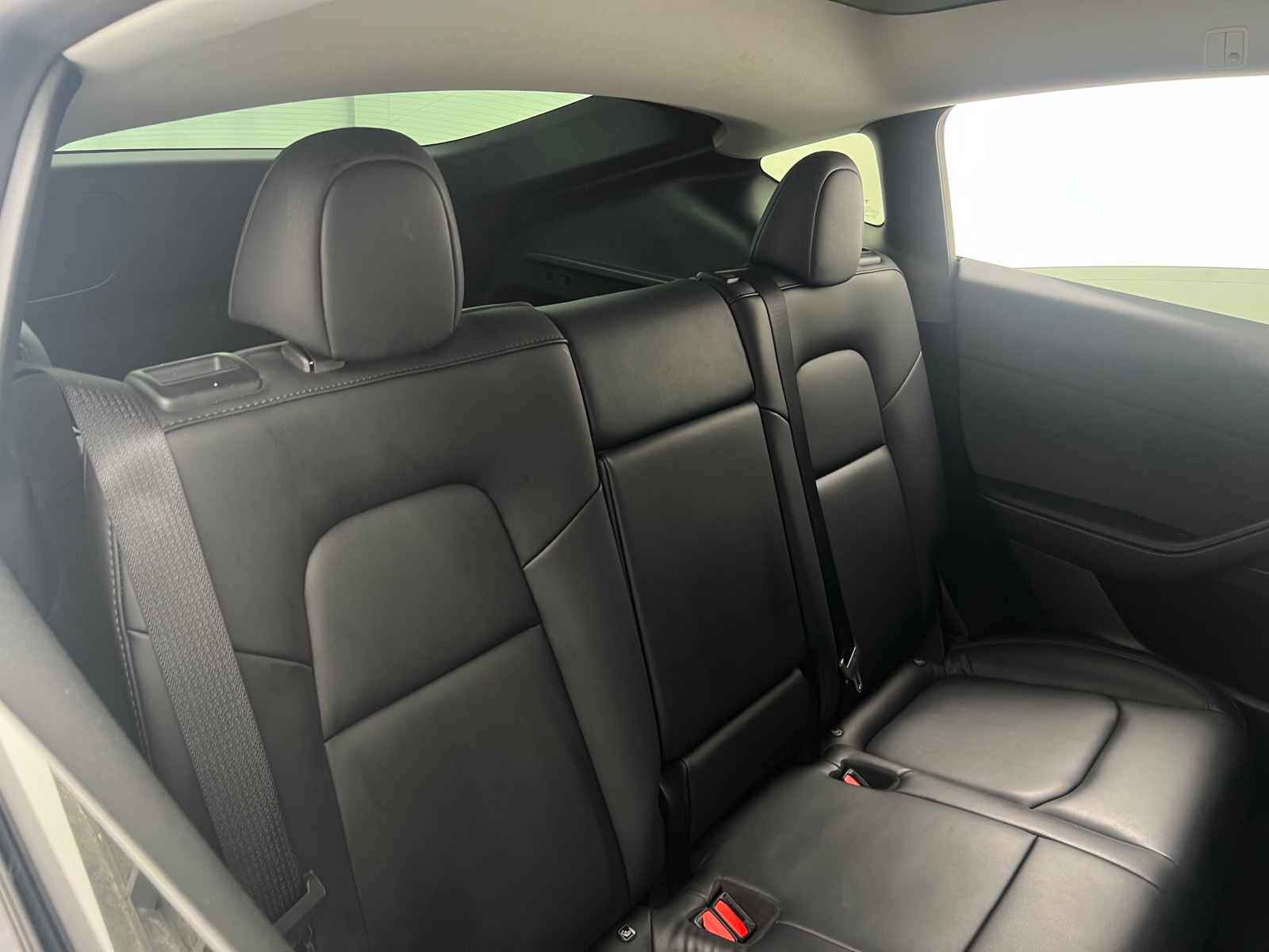 Thumbnail: 2023 Tesla Model Y - 5