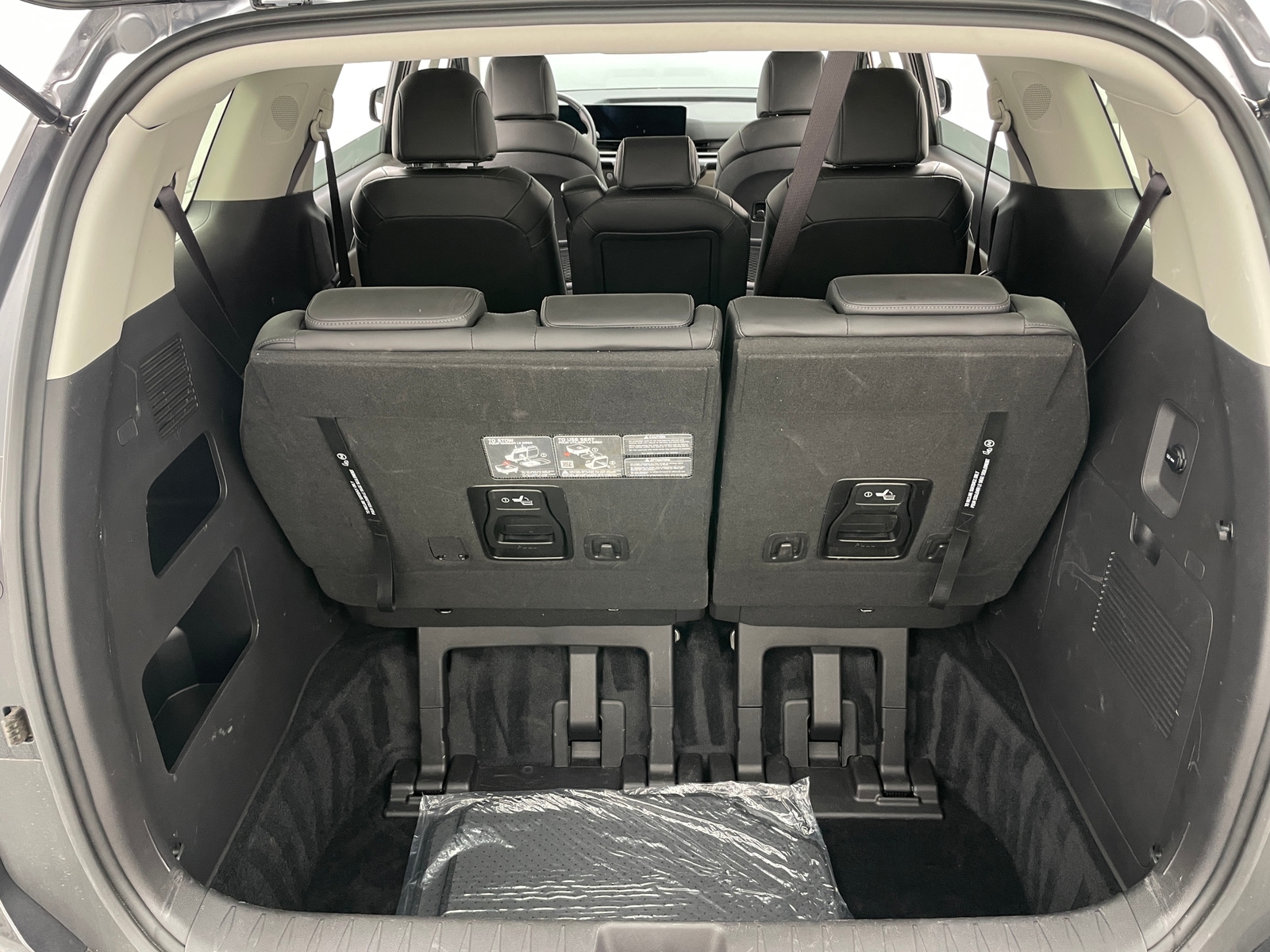 Thumbnail: 2026 Kia Carnival - 6