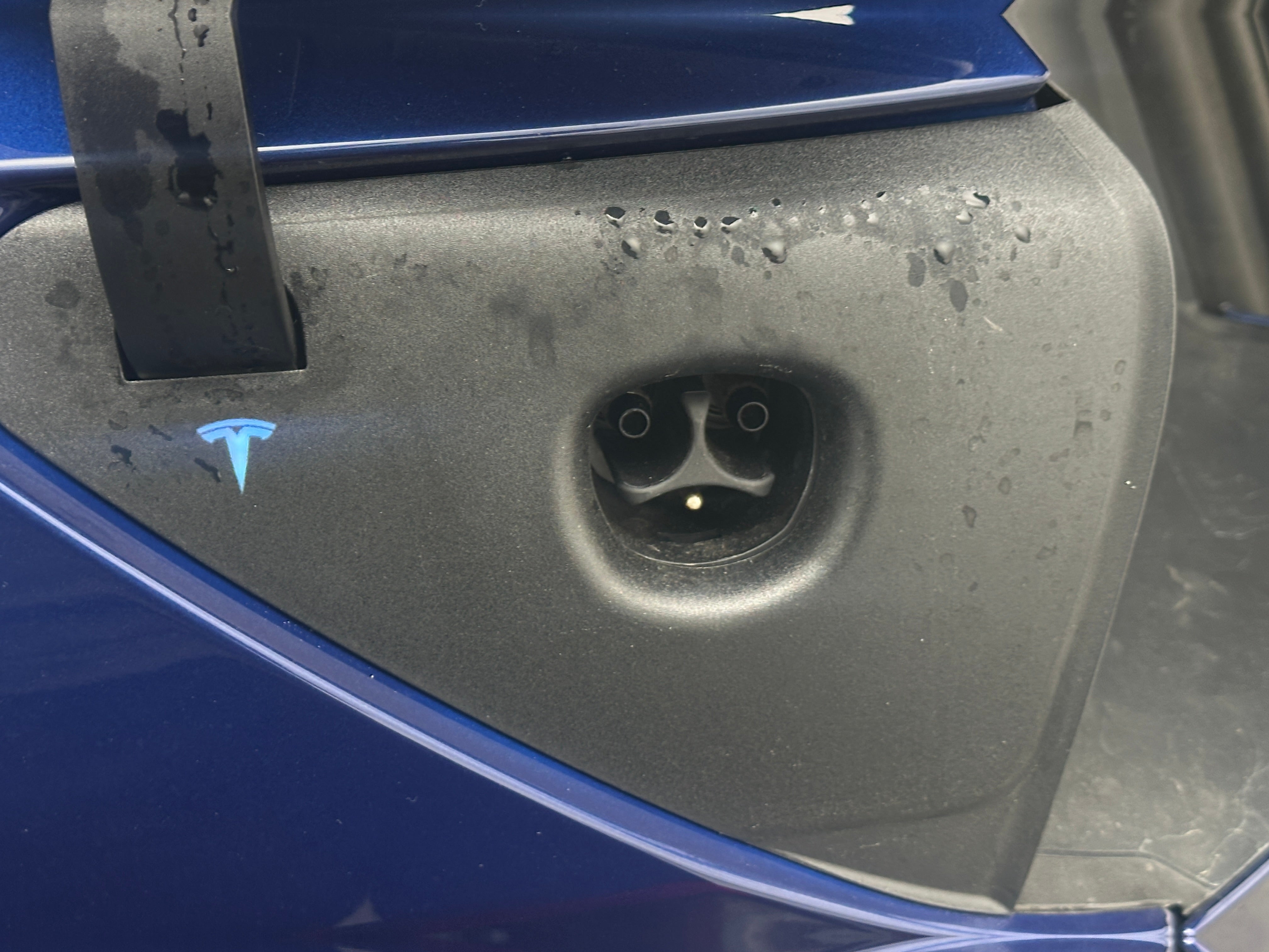 Used 2026 Tesla Model 3 Premium with VIN 5YJ3E1EB0TF121650 for sale in Auburn, WA