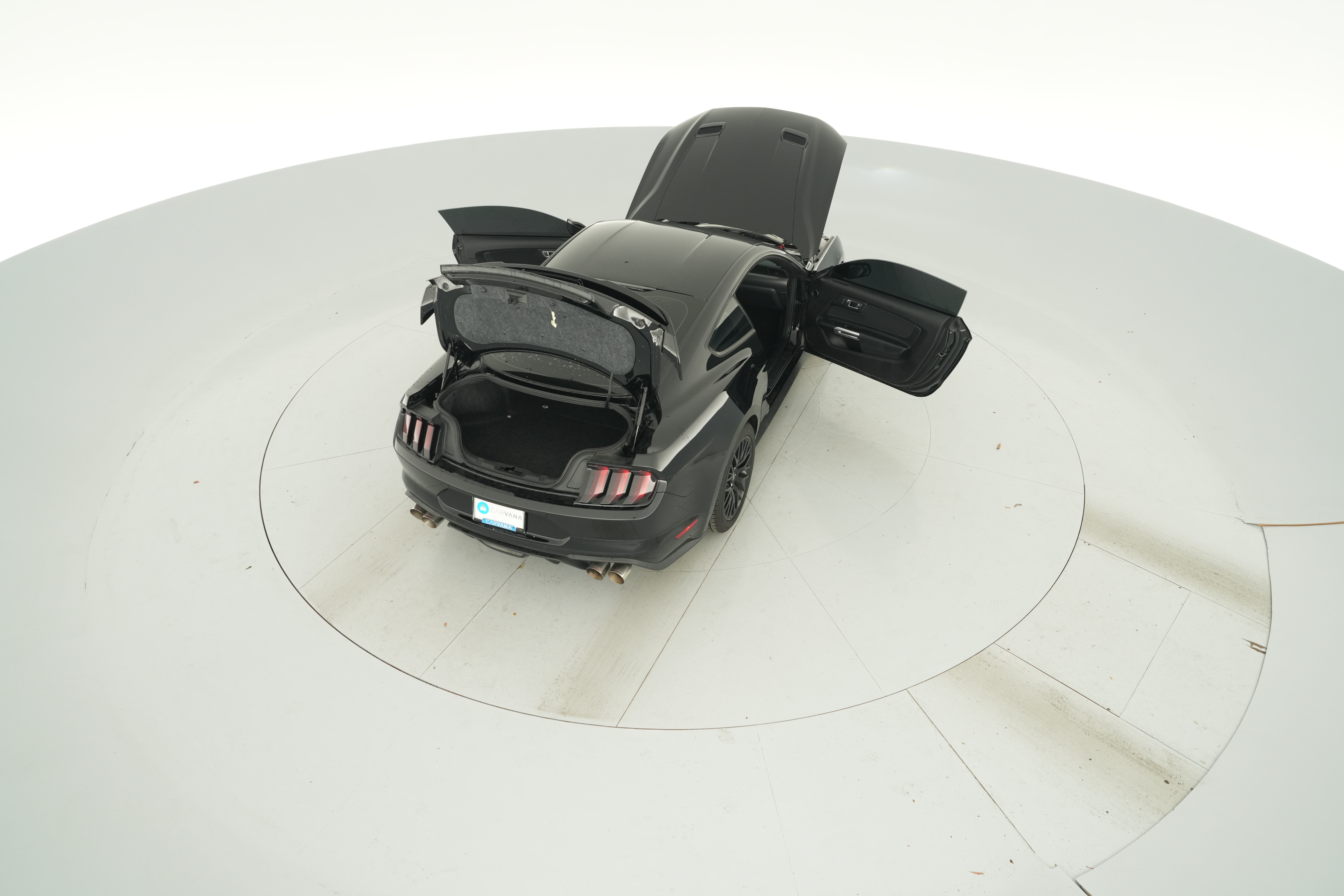 Photo 41