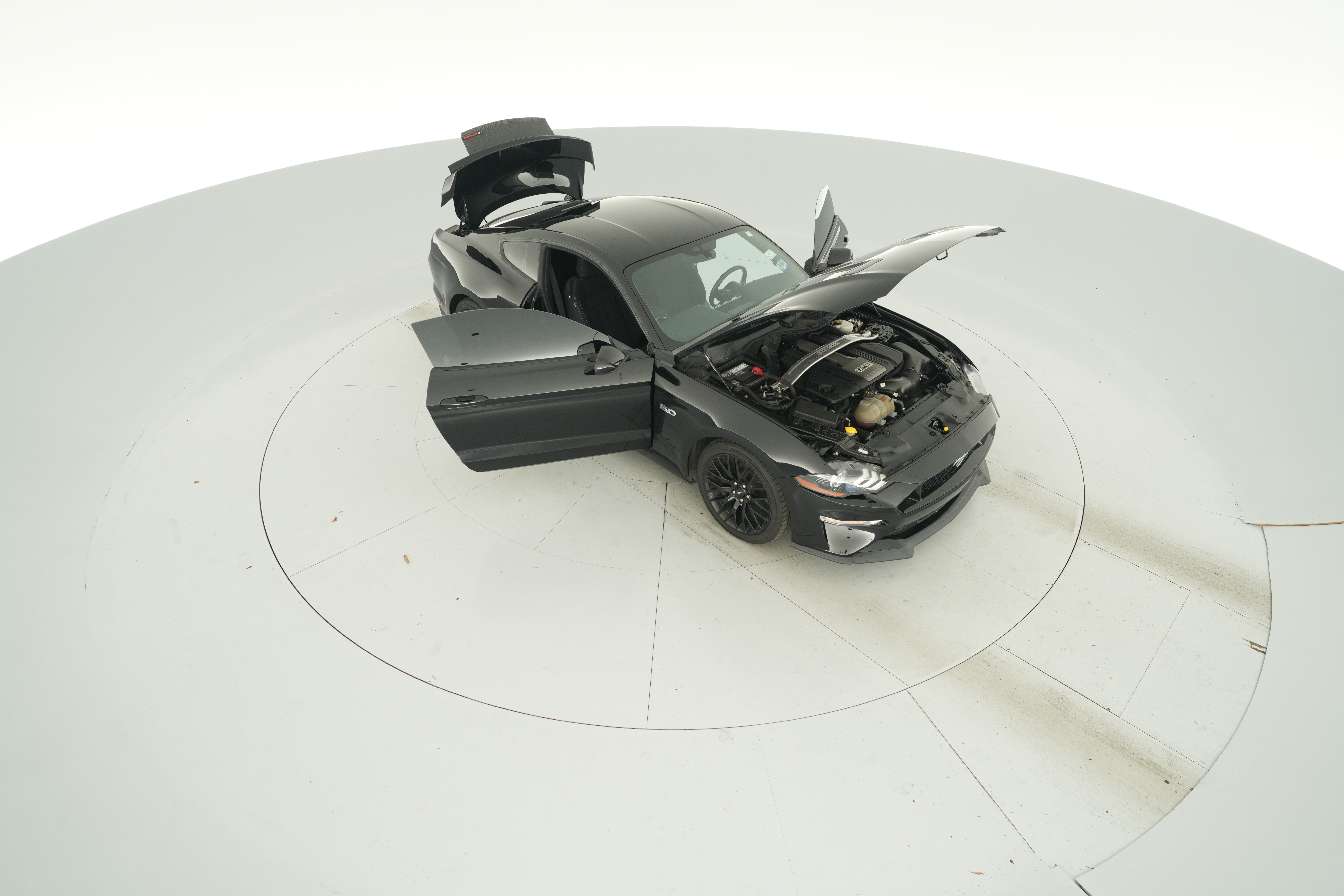 Photo 46