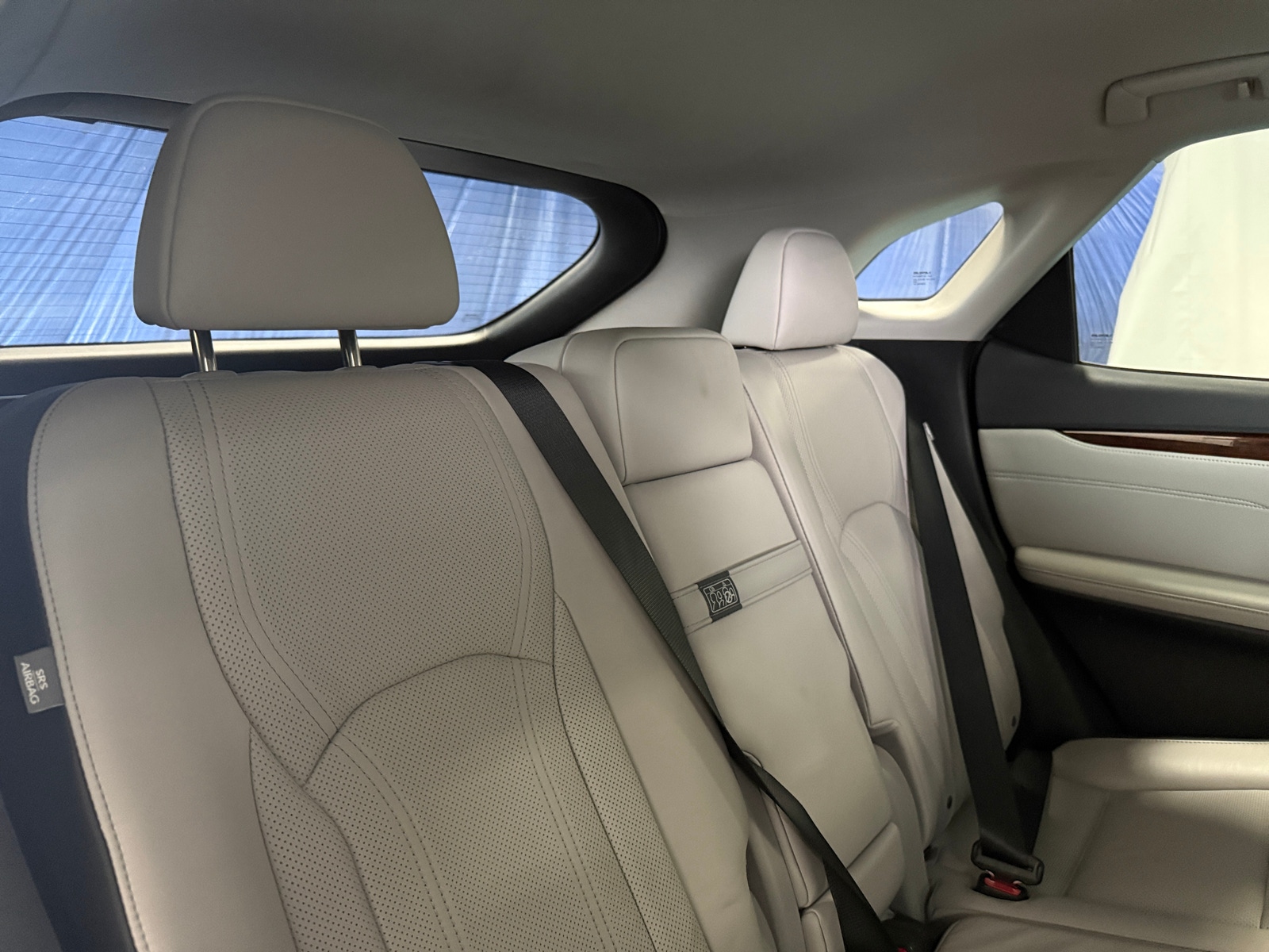 Thumbnail: 2019 Lexus RX - 6
