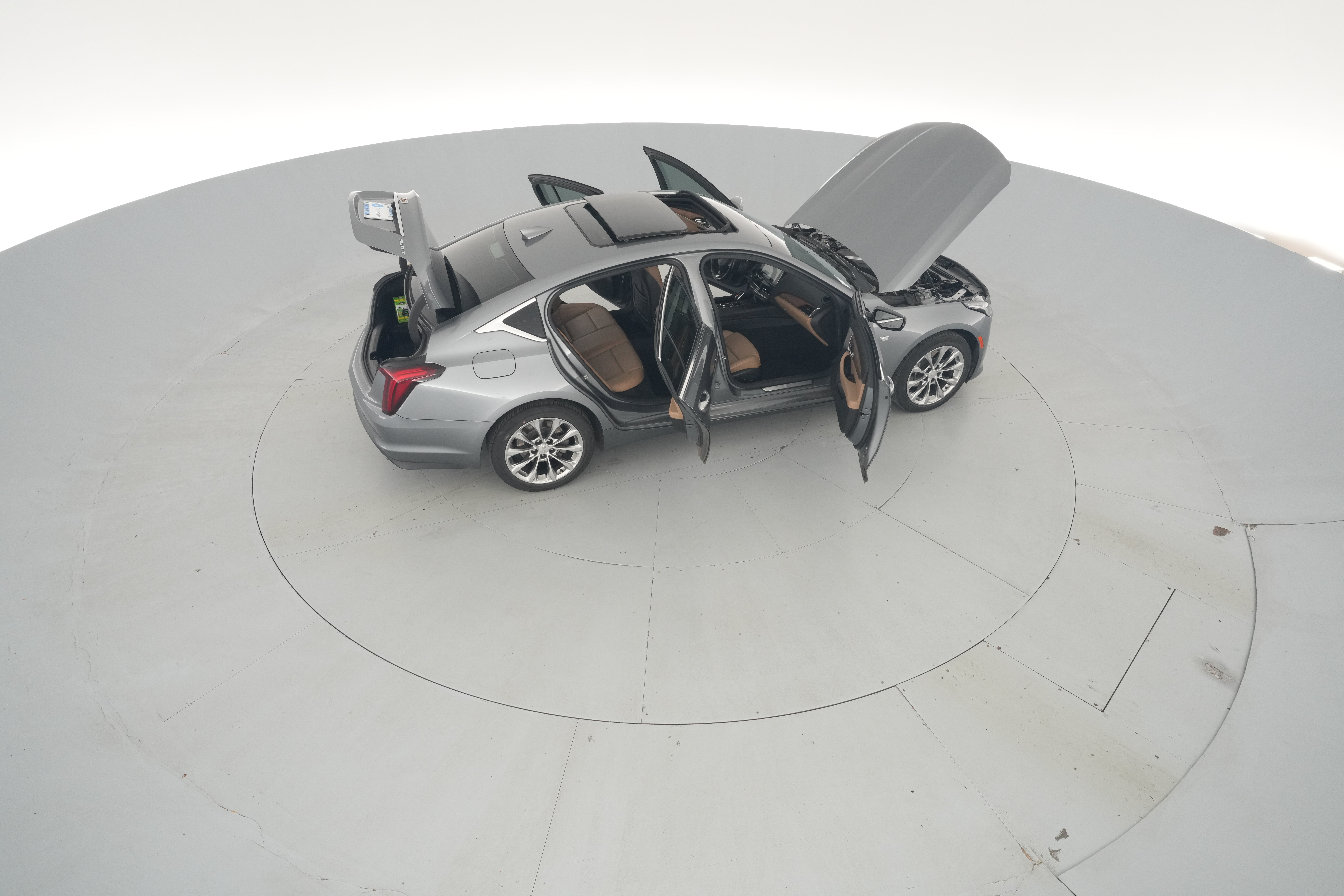 Photo 56