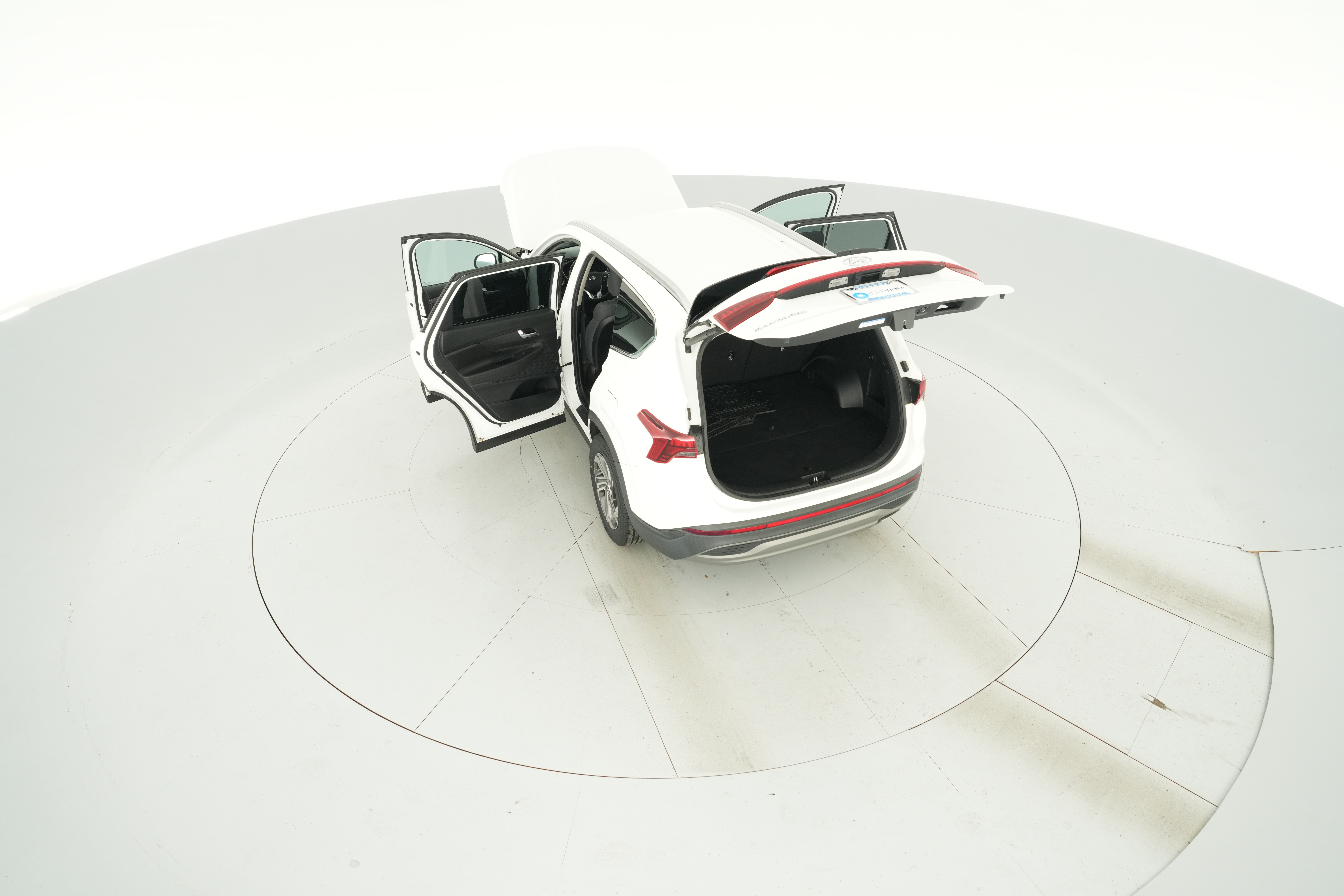 Photo 44