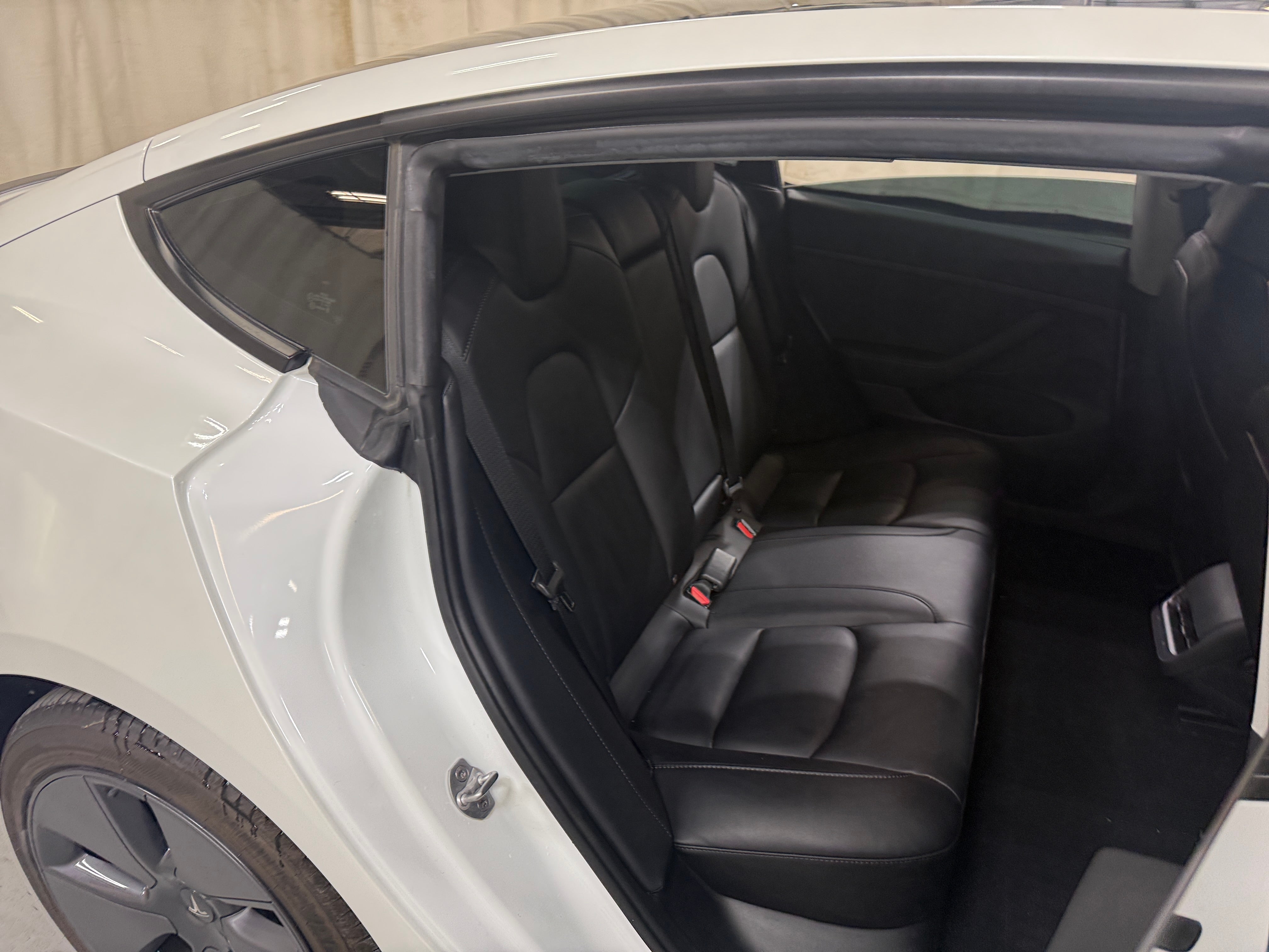 Used 2023 Tesla Model 3 Base with VIN 5YJ3E1EA2PF482987 for sale in Auburn, WA