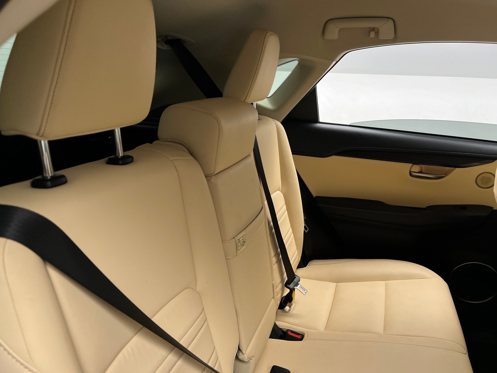 Thumbnail: 2016 Lexus NX - 6