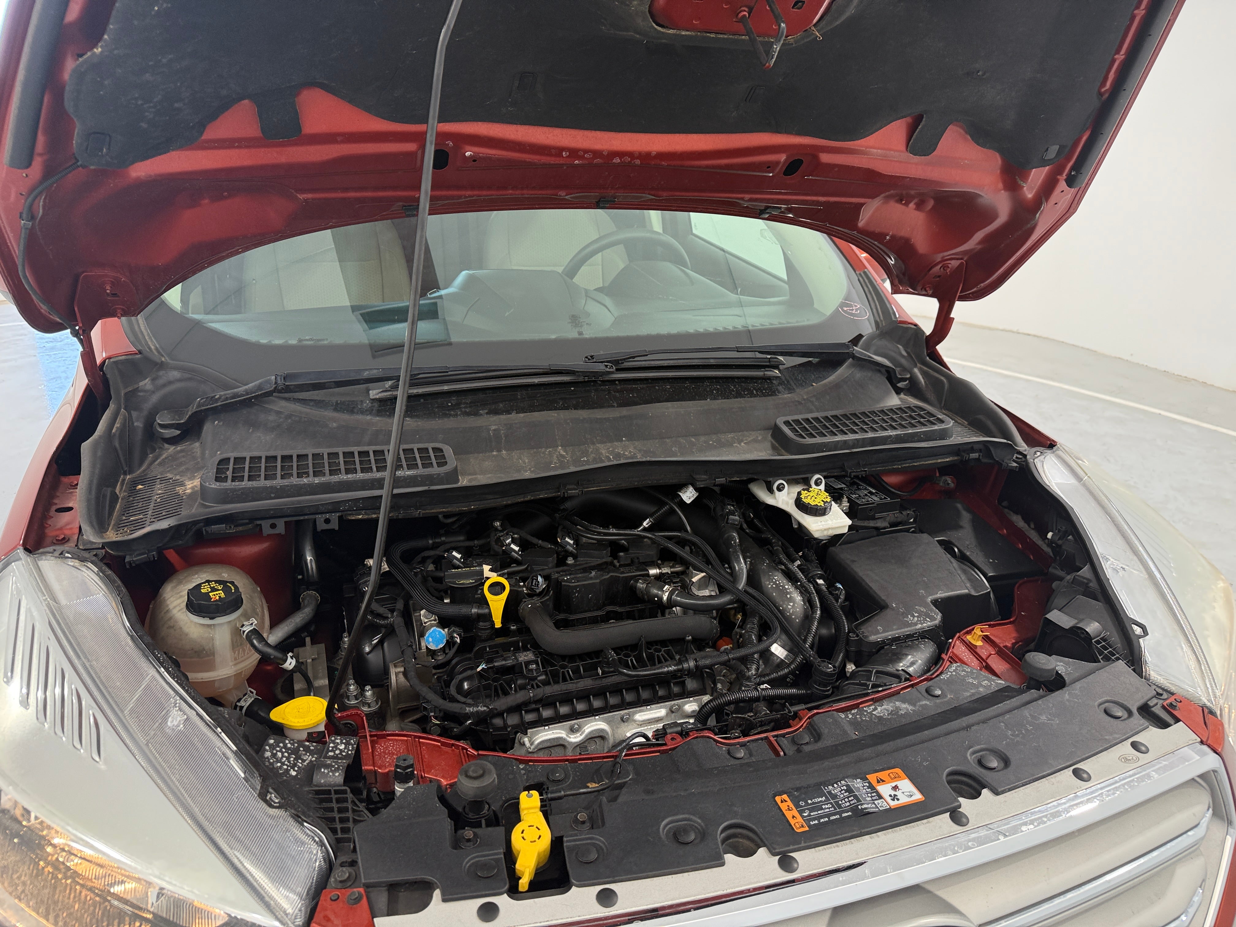 Used 2019 Ford Escape SE with VIN 1FMCU9GD1KUA08419 for sale in Pewaukee, WI